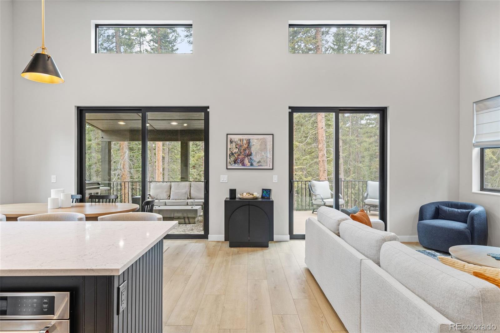 MLS Image #7 for 180  pine cone way,fairplay, Colorado