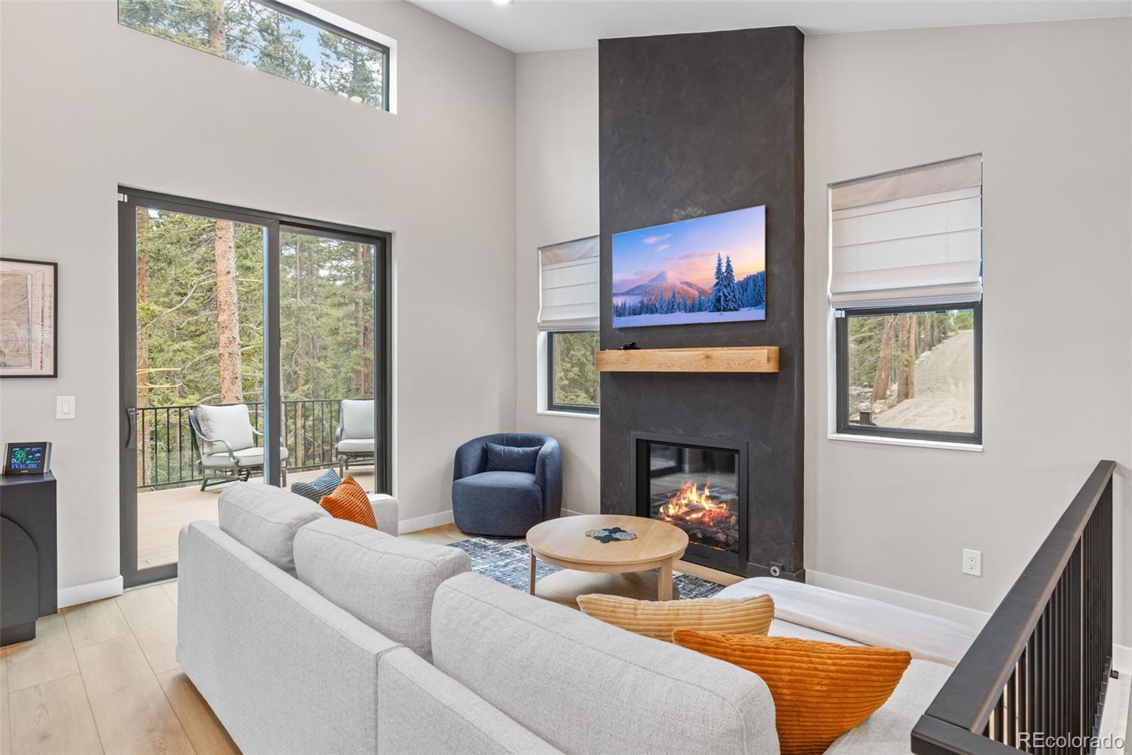 MLS Image #9 for 180  pine cone way,fairplay, Colorado