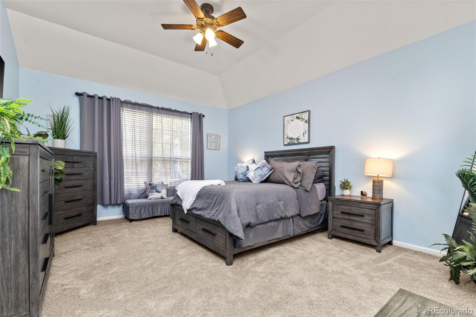 MLS Image #14 for 3550  mallard drive,highlands ranch, Colorado