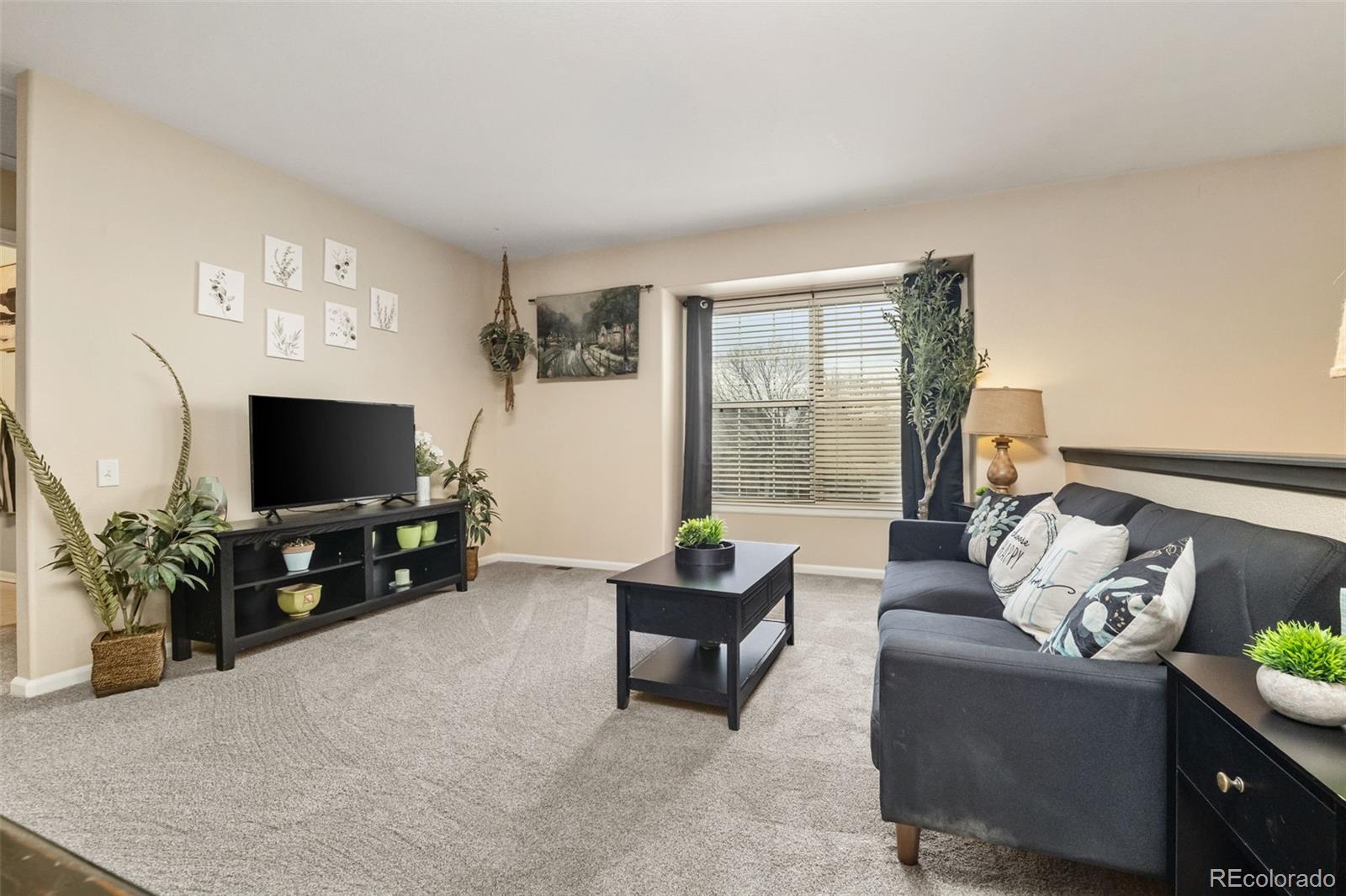 MLS Image #19 for 3550  mallard drive,highlands ranch, Colorado