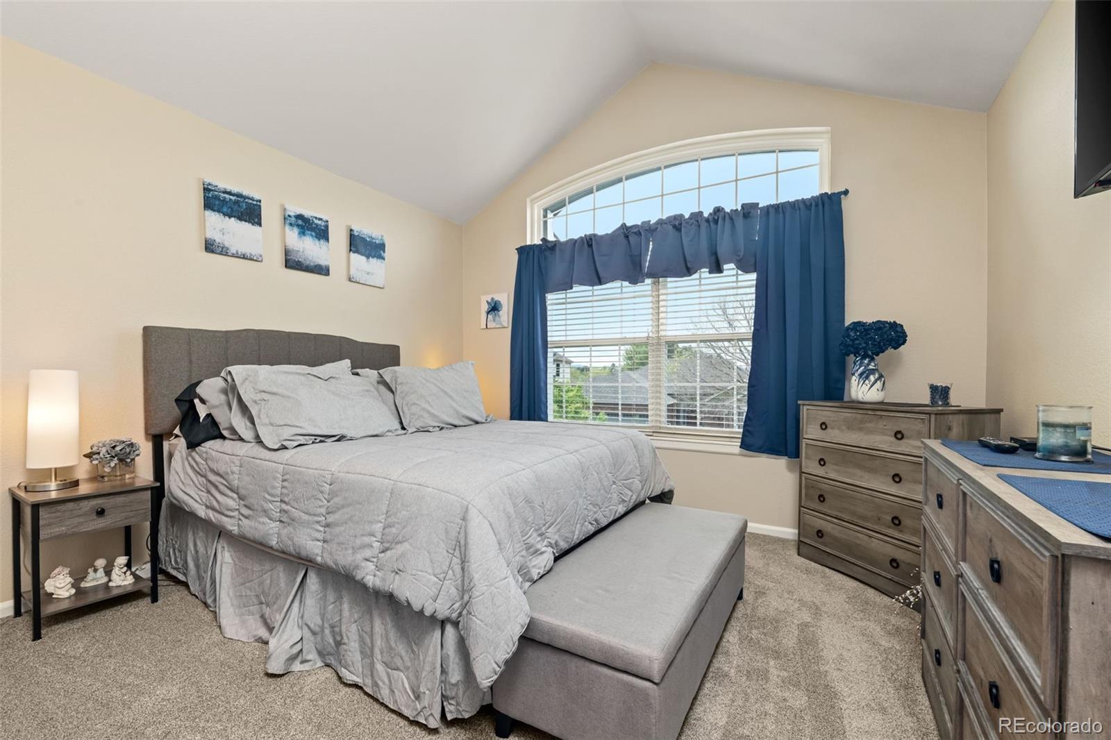 MLS Image #20 for 3550  mallard drive,highlands ranch, Colorado