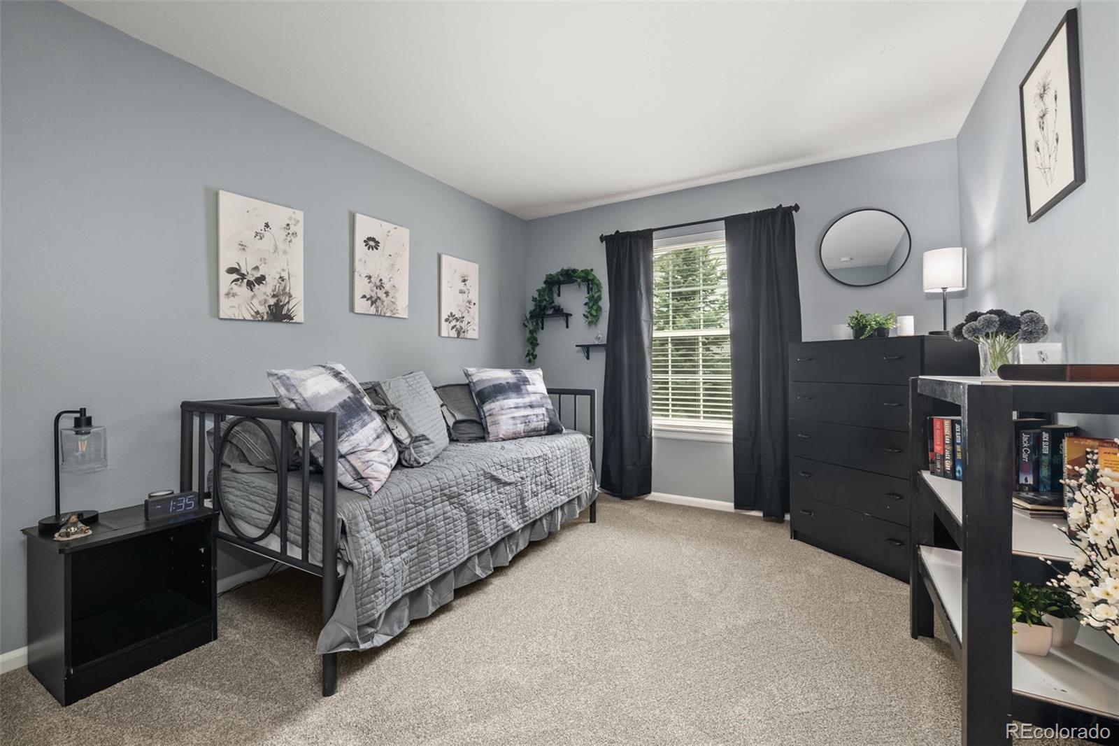 MLS Image #22 for 3550  mallard drive,highlands ranch, Colorado