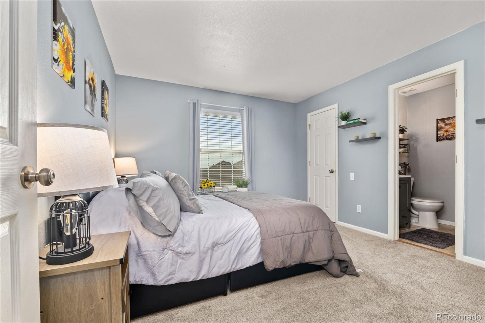 MLS Image #23 for 3550  mallard drive,highlands ranch, Colorado