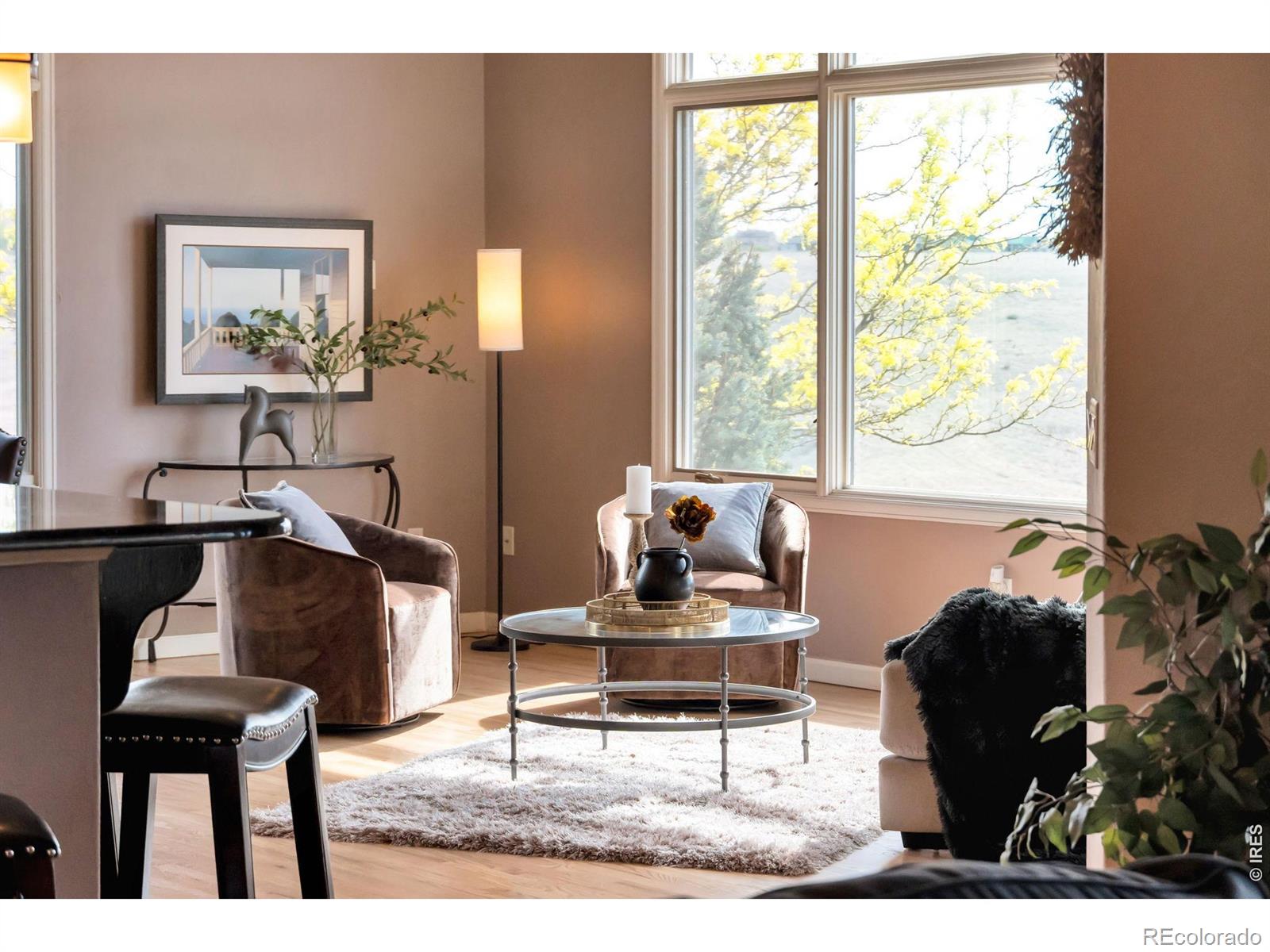 MLS Image #10 for 1532  arroyo drive,windsor, Colorado