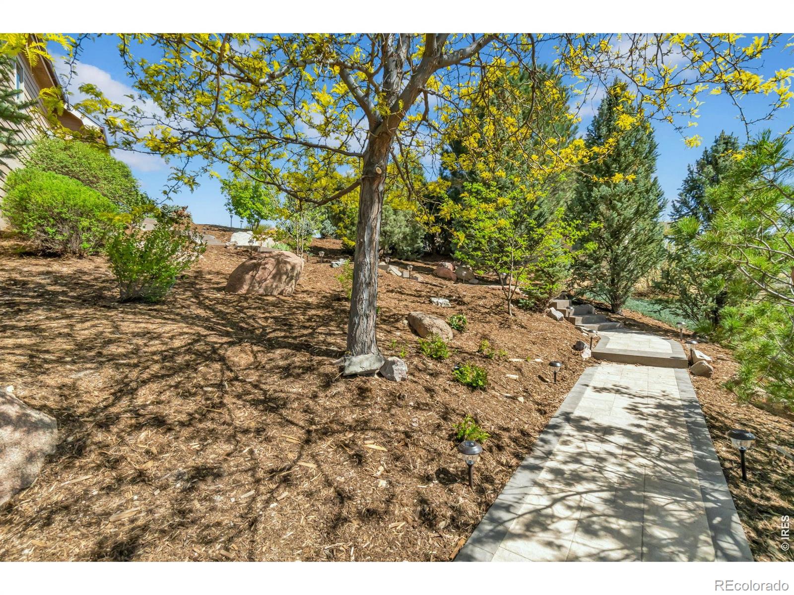 MLS Image #38 for 1532  arroyo drive,windsor, Colorado