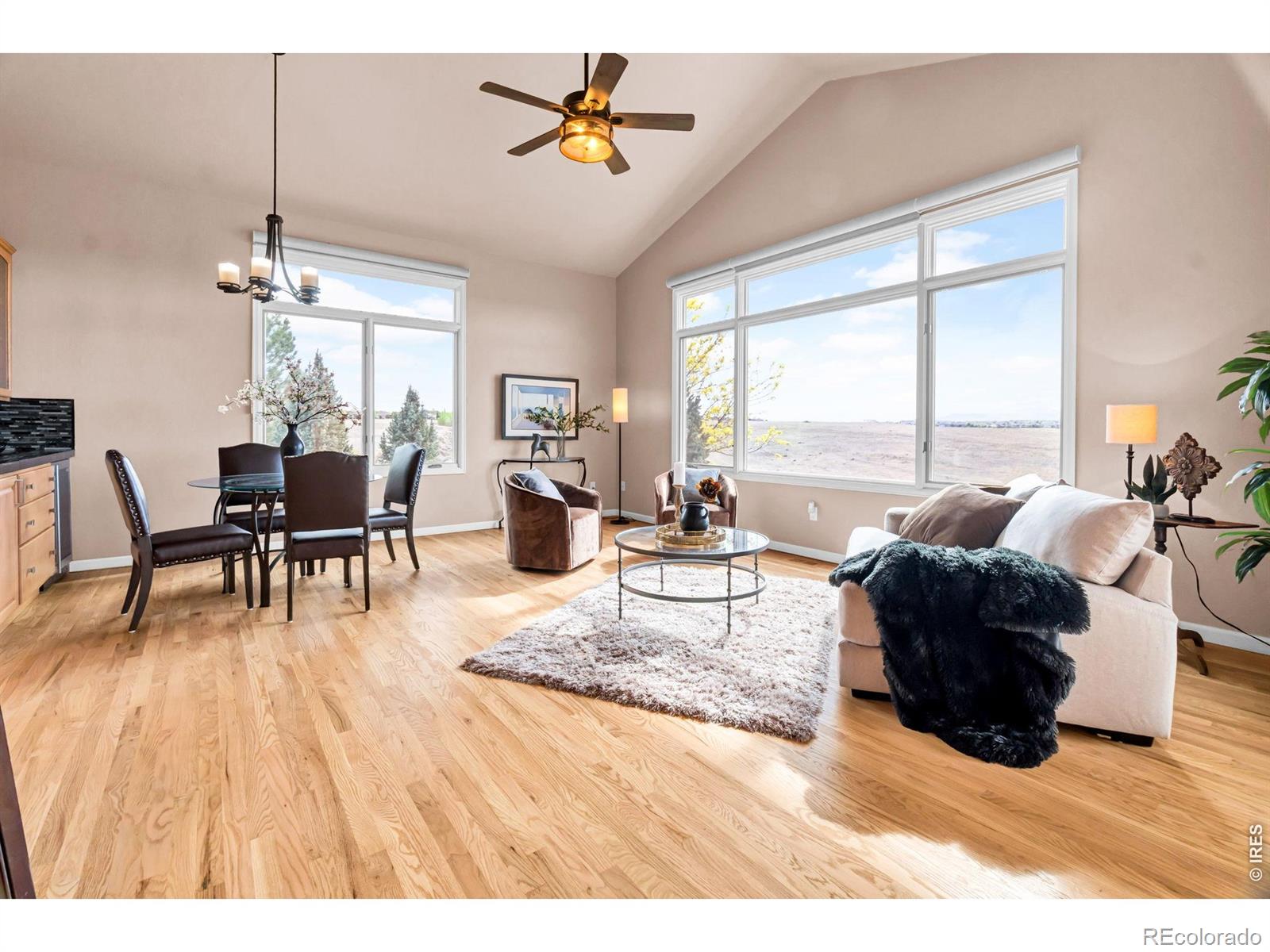 MLS Image #6 for 1532  arroyo drive,windsor, Colorado
