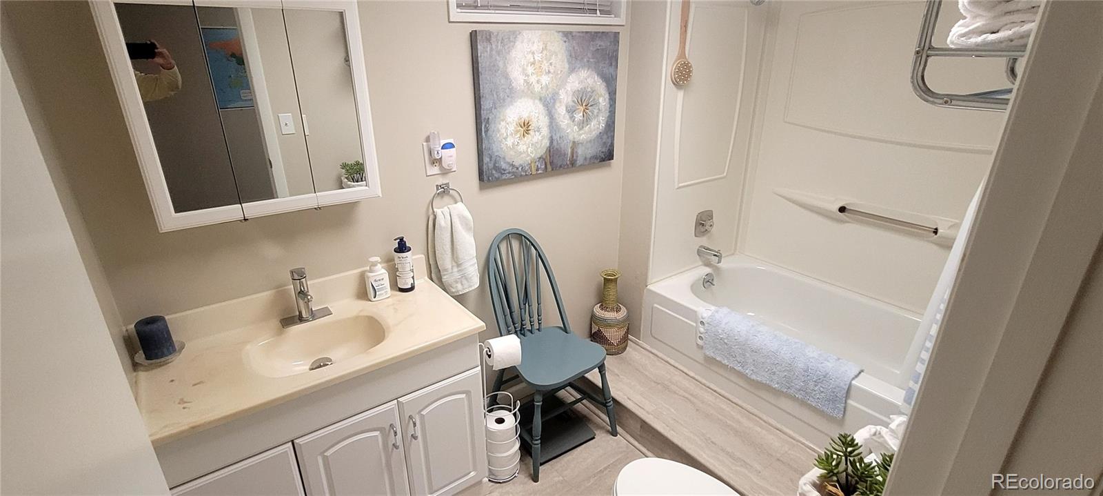 MLS Image #19 for 6315  union court,arvada, Colorado