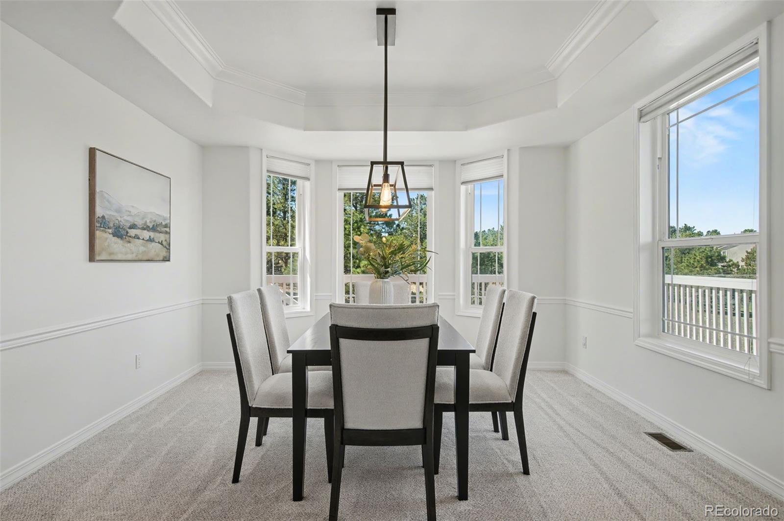 MLS Image #6 for 635 e kings deer point,monument, Colorado