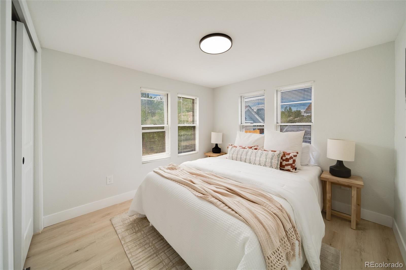 MLS Image #11 for 257  hazel court,denver, Colorado