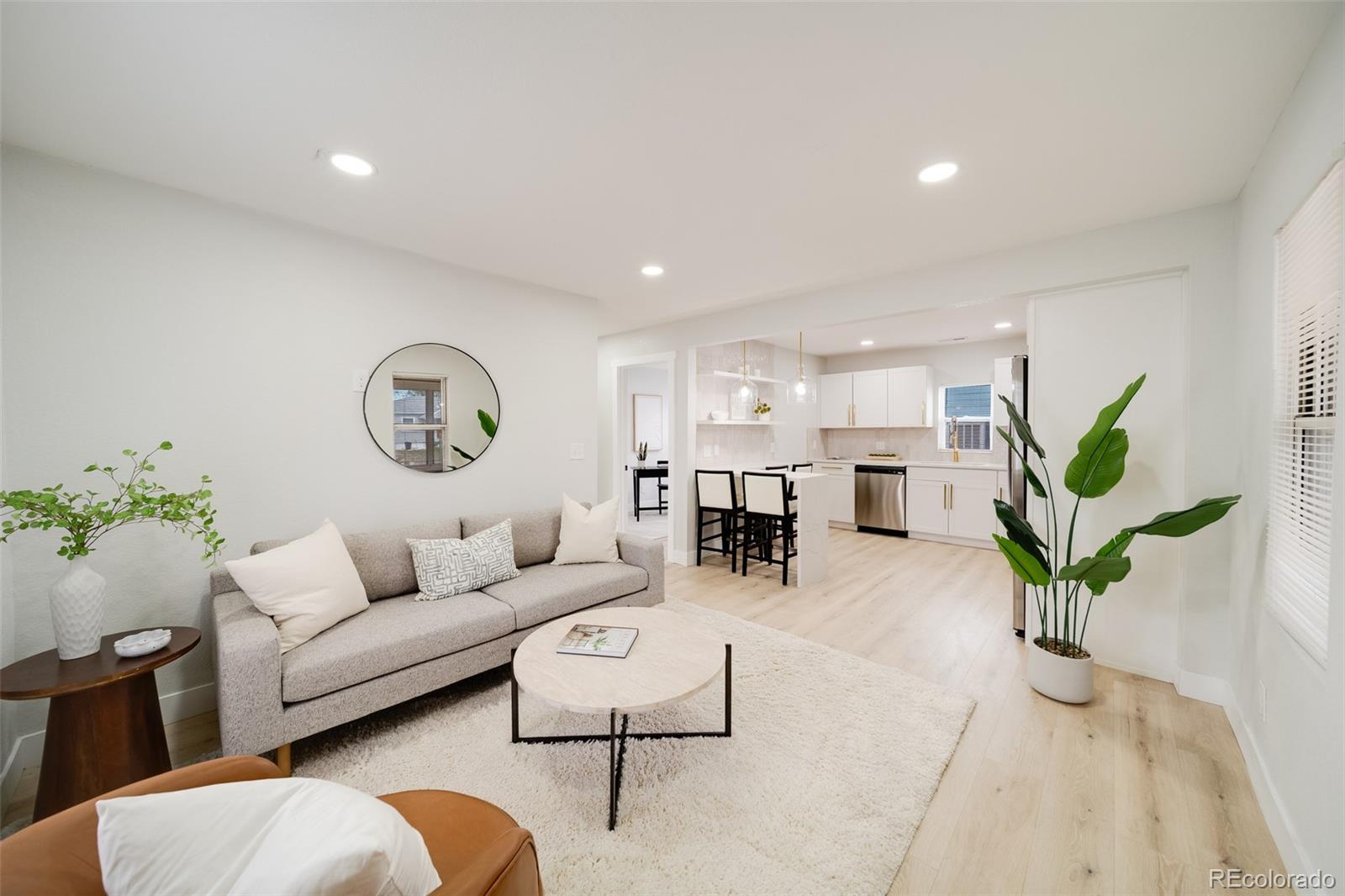 MLS Image #4 for 257  hazel court,denver, Colorado