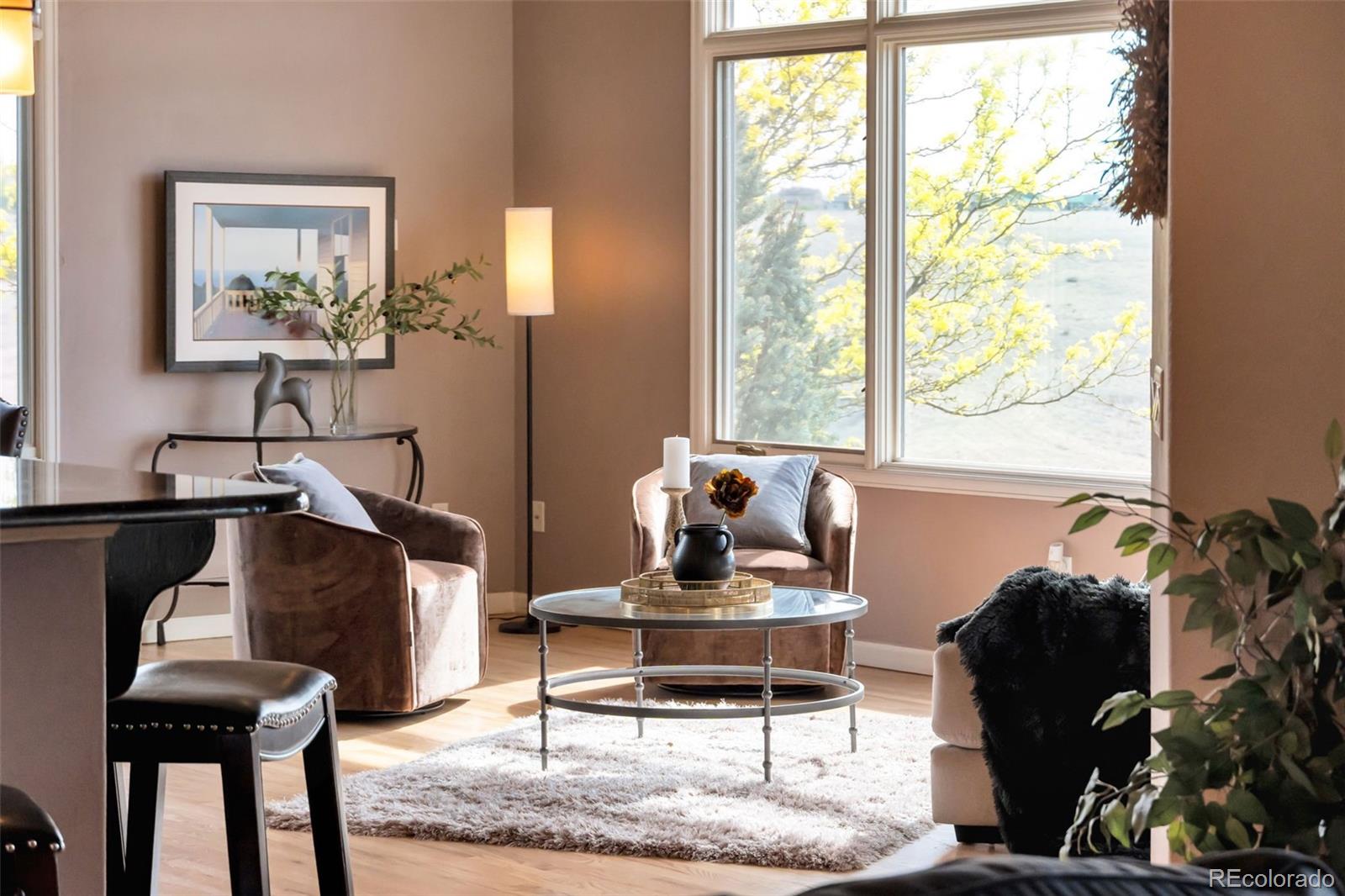 MLS Image #10 for 1532  arroyo drive,windsor, Colorado