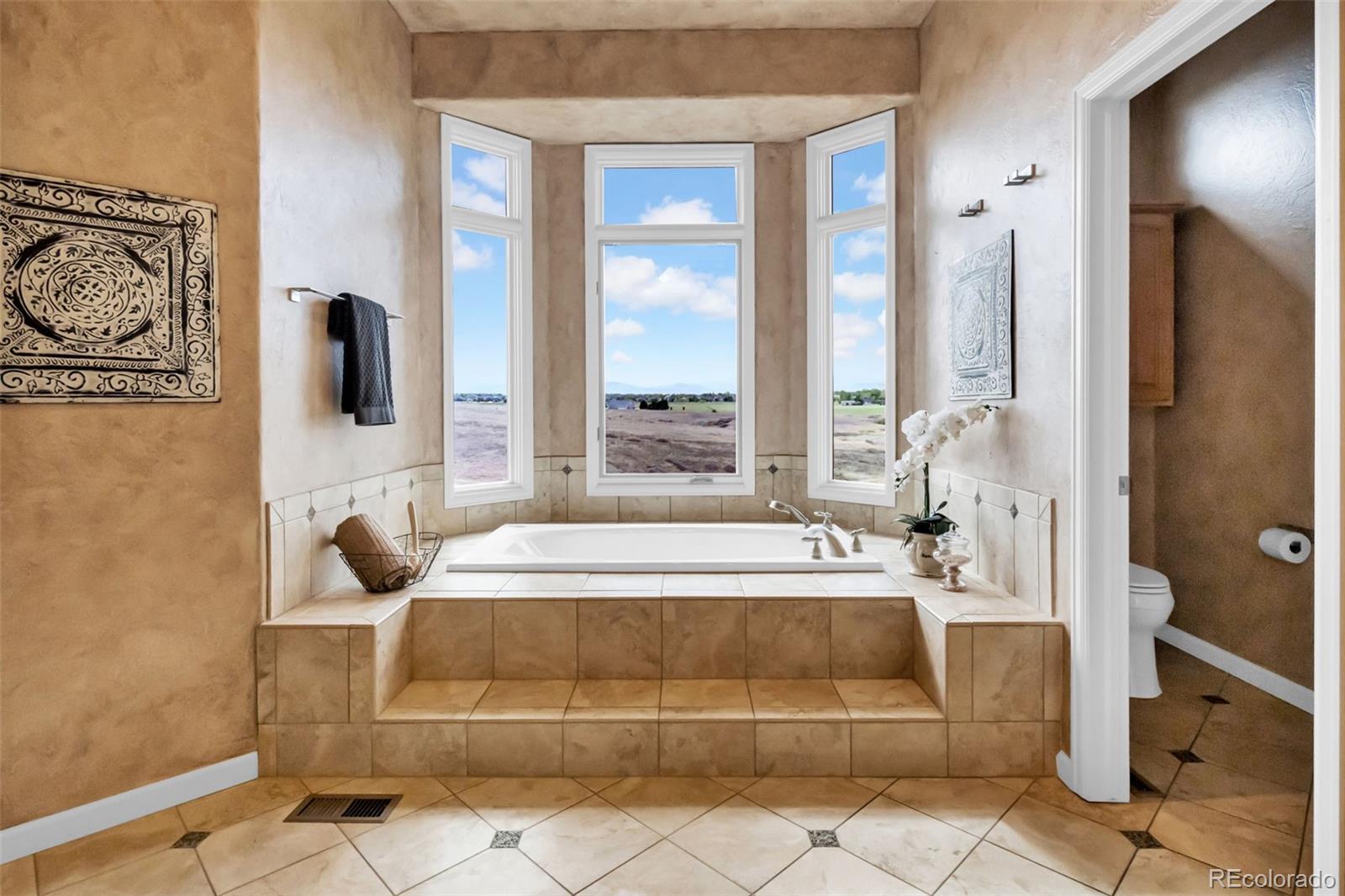 MLS Image #18 for 1532  arroyo drive,windsor, Colorado