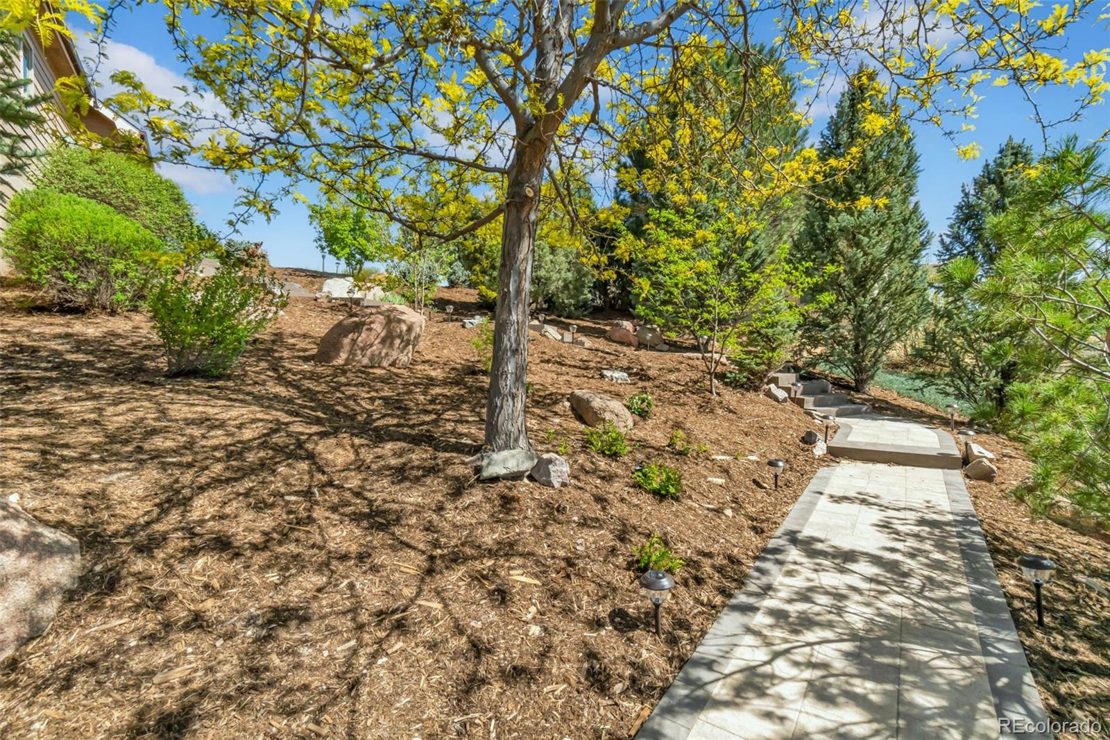 MLS Image #38 for 1532  arroyo drive,windsor, Colorado