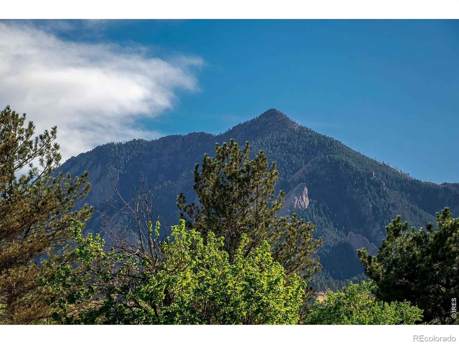 MLS Image #38 for 340  27th street,boulder, Colorado