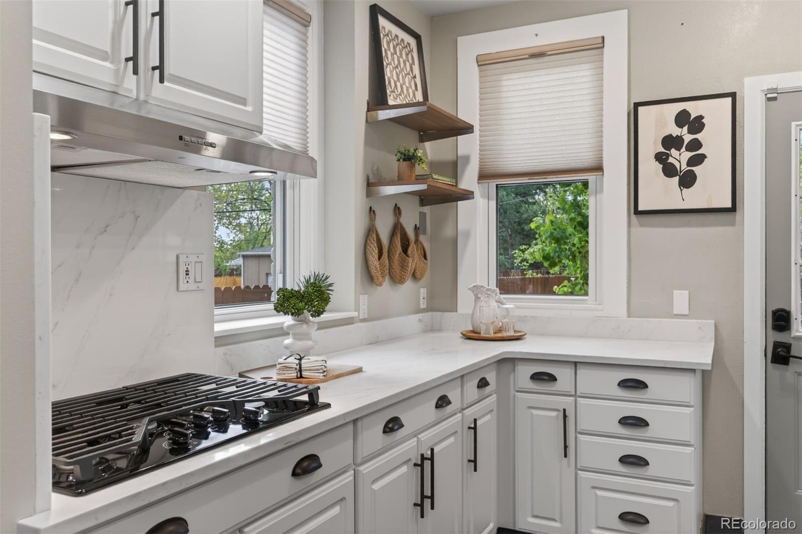 MLS Image #16 for 2340 n vine street,denver, Colorado