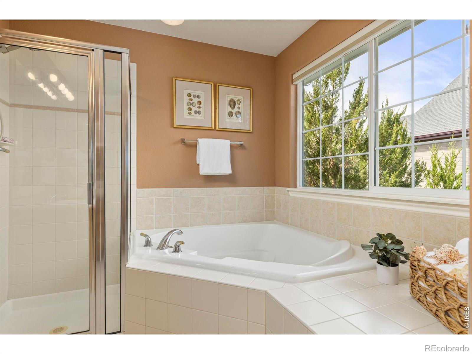 MLS Image #25 for 416  sierra avenue,longmont, Colorado