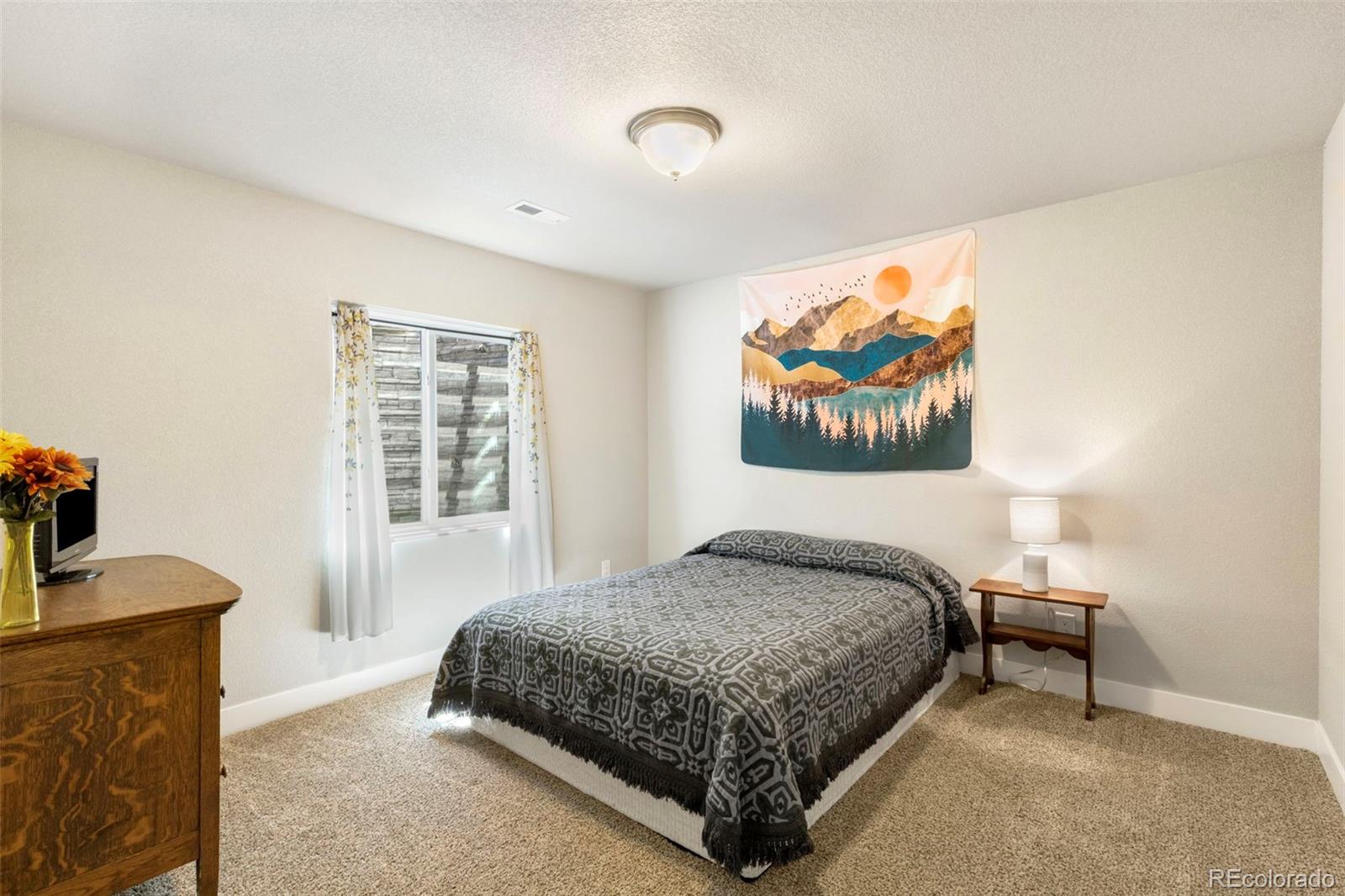 MLS Image #19 for 9808  wando drive,colorado springs, Colorado