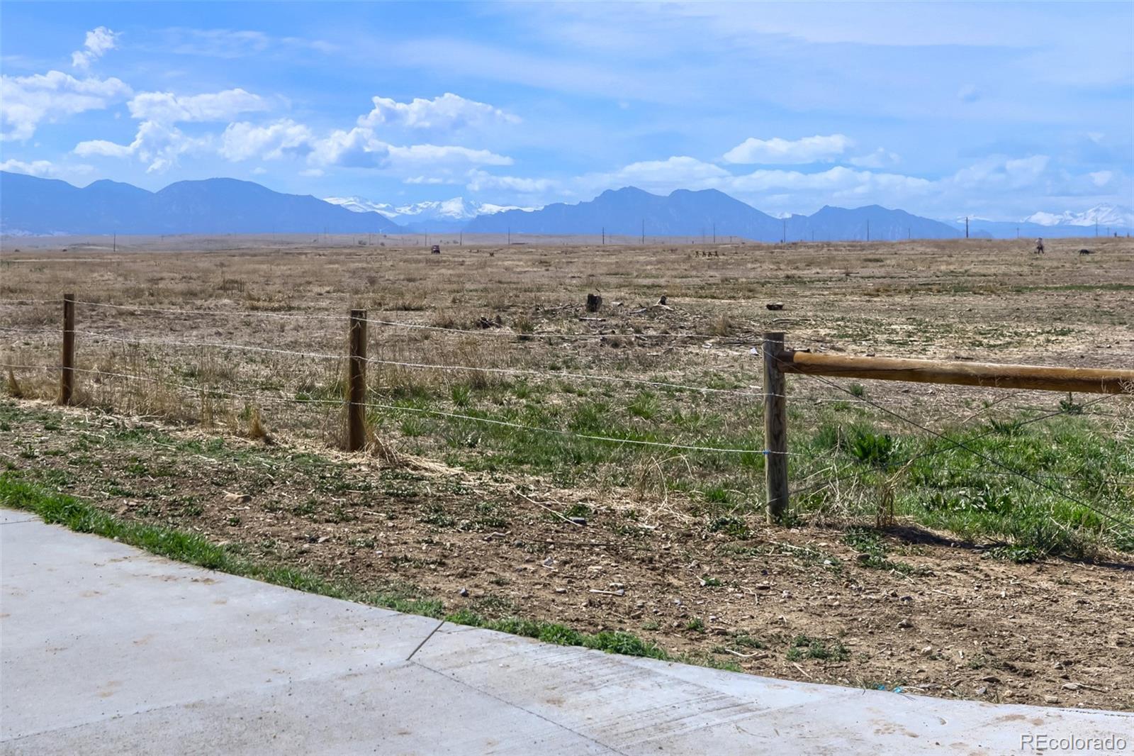 MLS Image #33 for 10541  routt street,westminster, Colorado