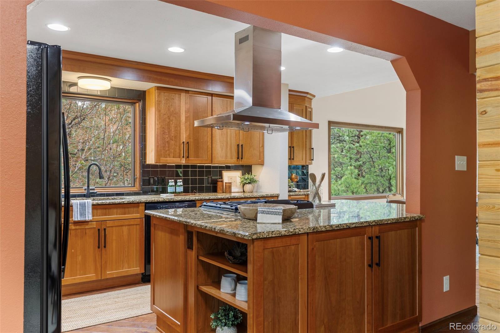MLS Image #11 for 6154 n beckwourth court,parker, Colorado