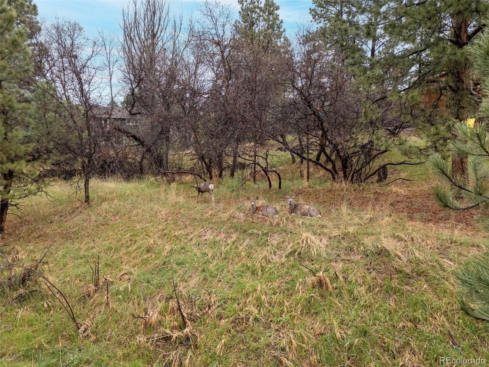 MLS Image #42 for 6154 n beckwourth court,parker, Colorado