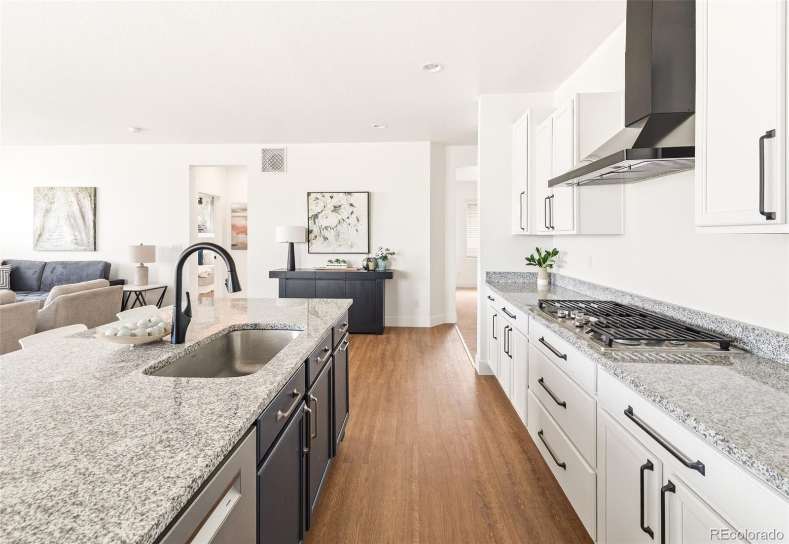 MLS Image #20 for 5679  saddle skirt street,parker, Colorado