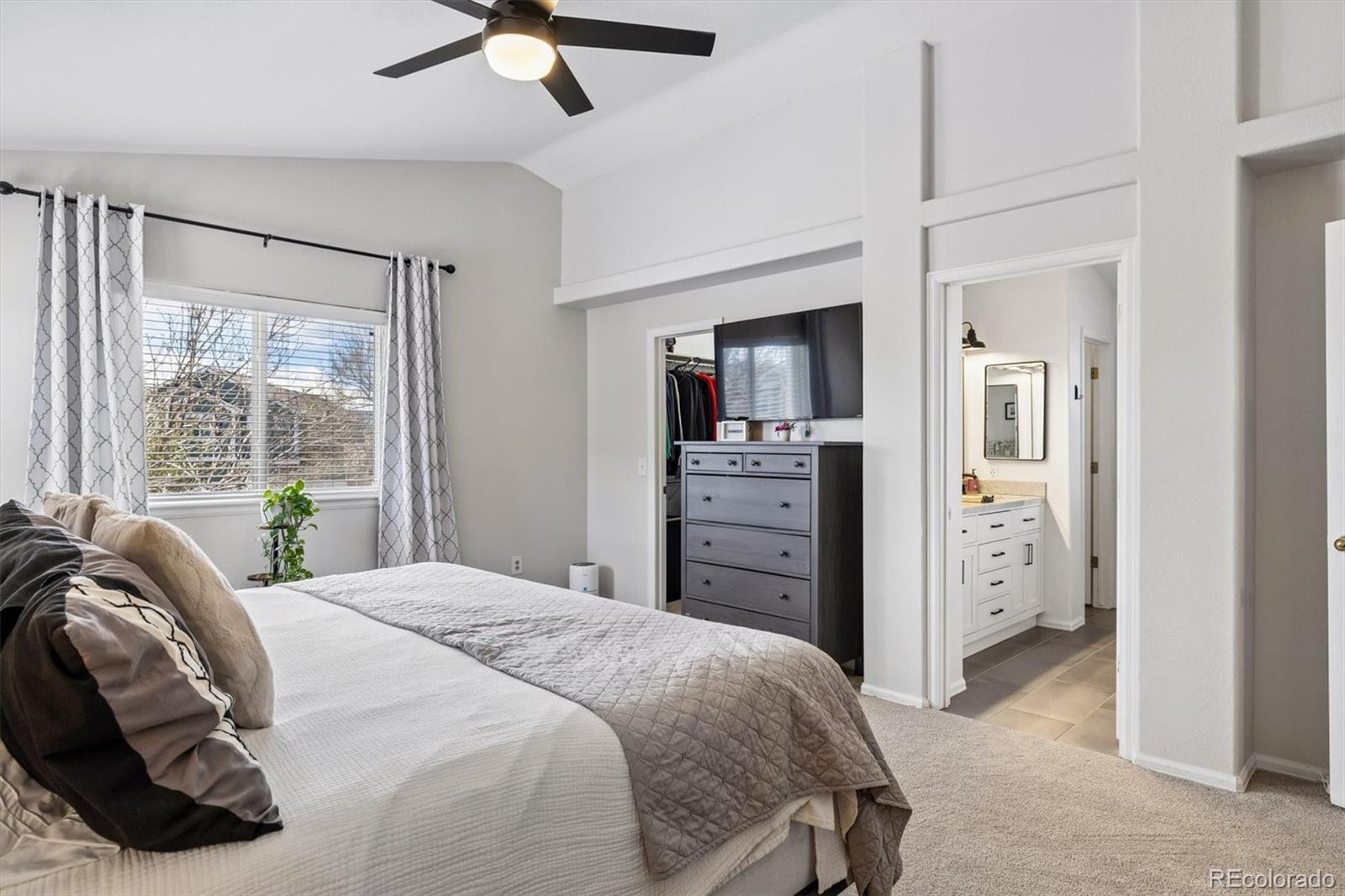 MLS Image #21 for 2036  ashwood place,highlands ranch, Colorado