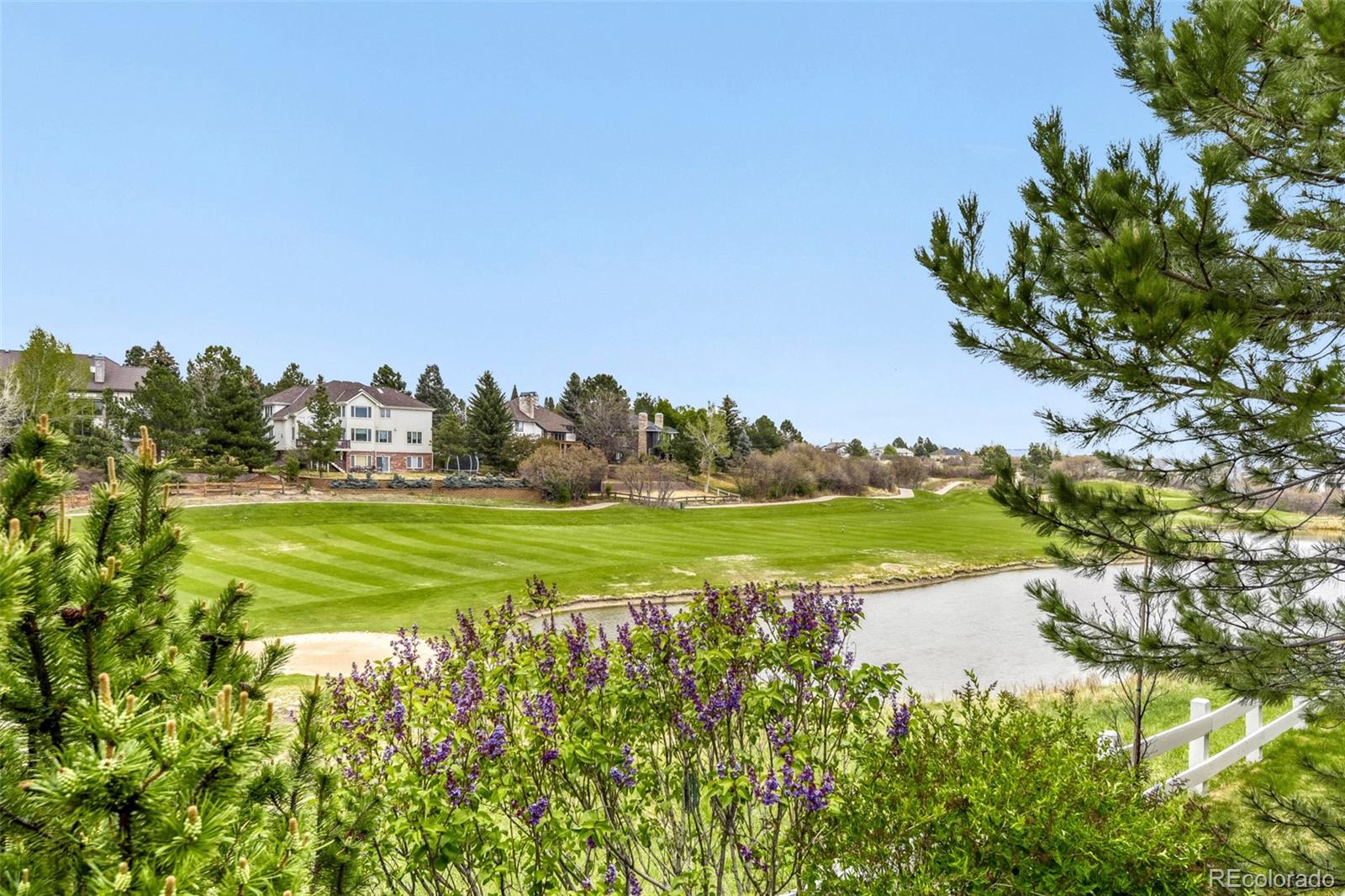 MLS Image #28 for 727  deer clover way,castle pines, Colorado