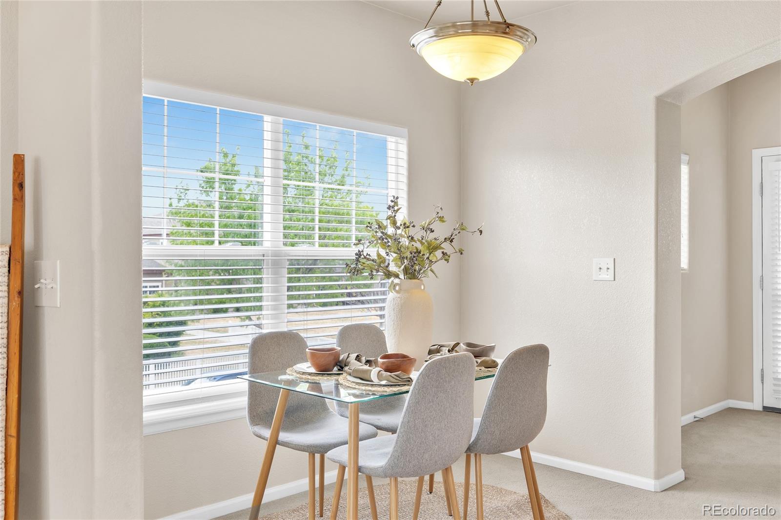 MLS Image #11 for 3815  steelhead street,fort collins, Colorado