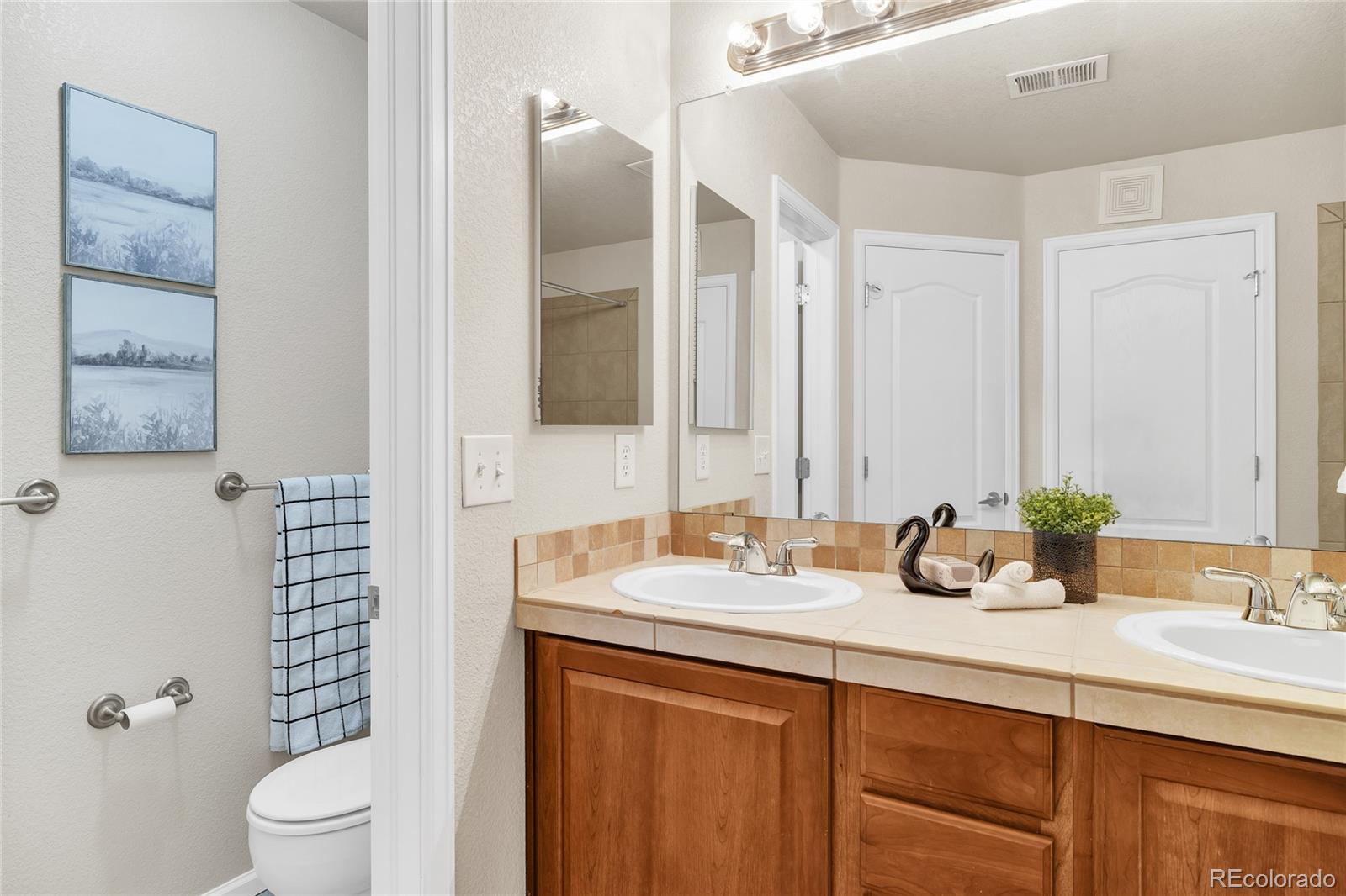 MLS Image #18 for 3815  steelhead street,fort collins, Colorado