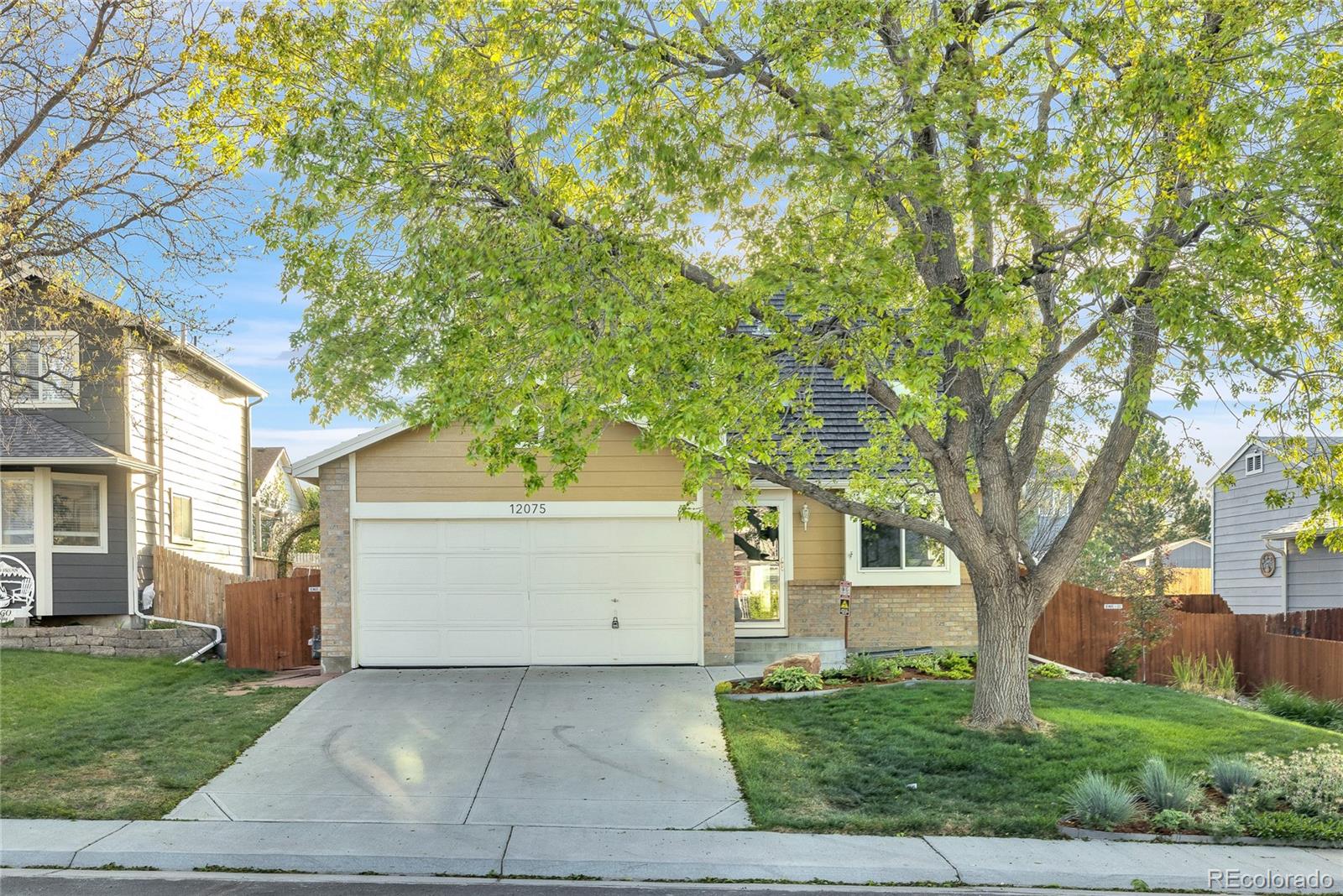 MLS Image #3 for 12075  elm way,thornton, Colorado