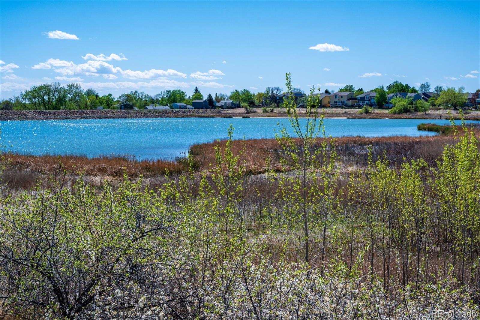 MLS Image #26 for 10577  pierson circle,broomfield, Colorado