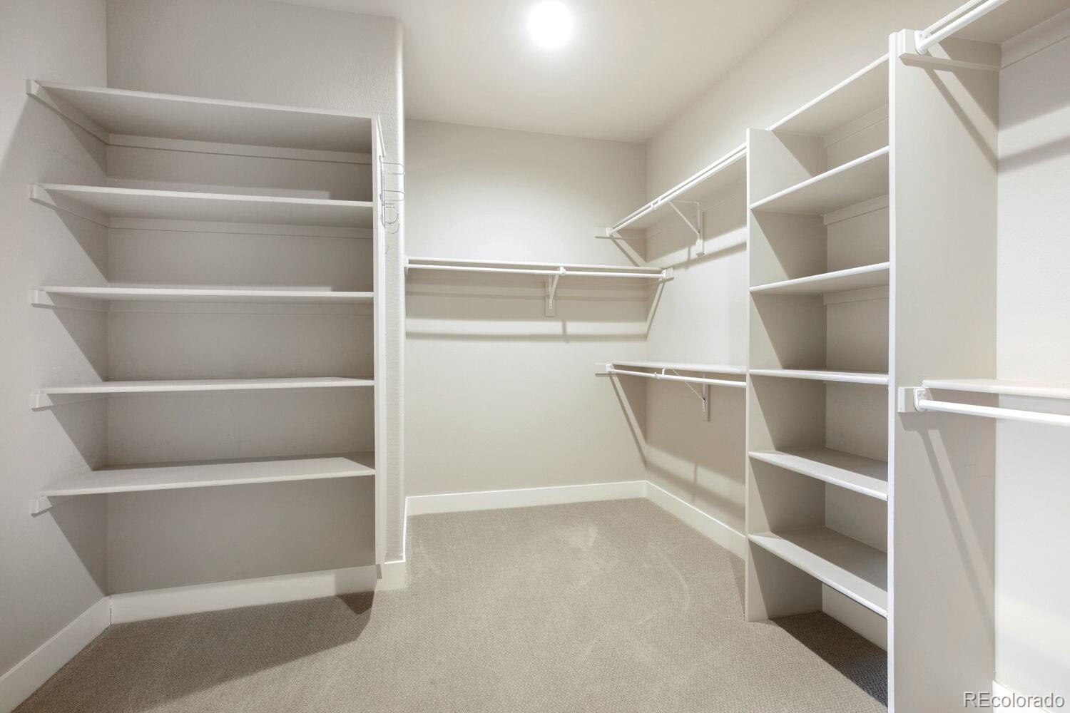 MLS Image #17 for 2993  lake verna drive,loveland, Colorado