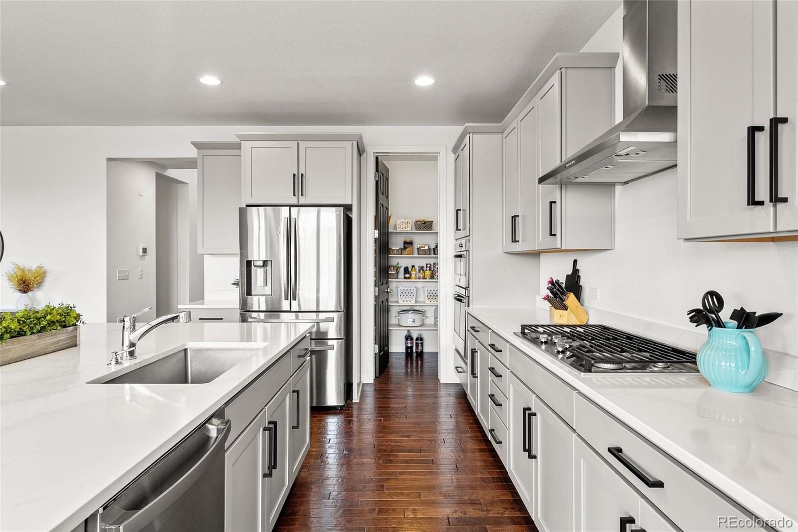 MLS Image #11 for 3922  white rose street,castle rock, Colorado
