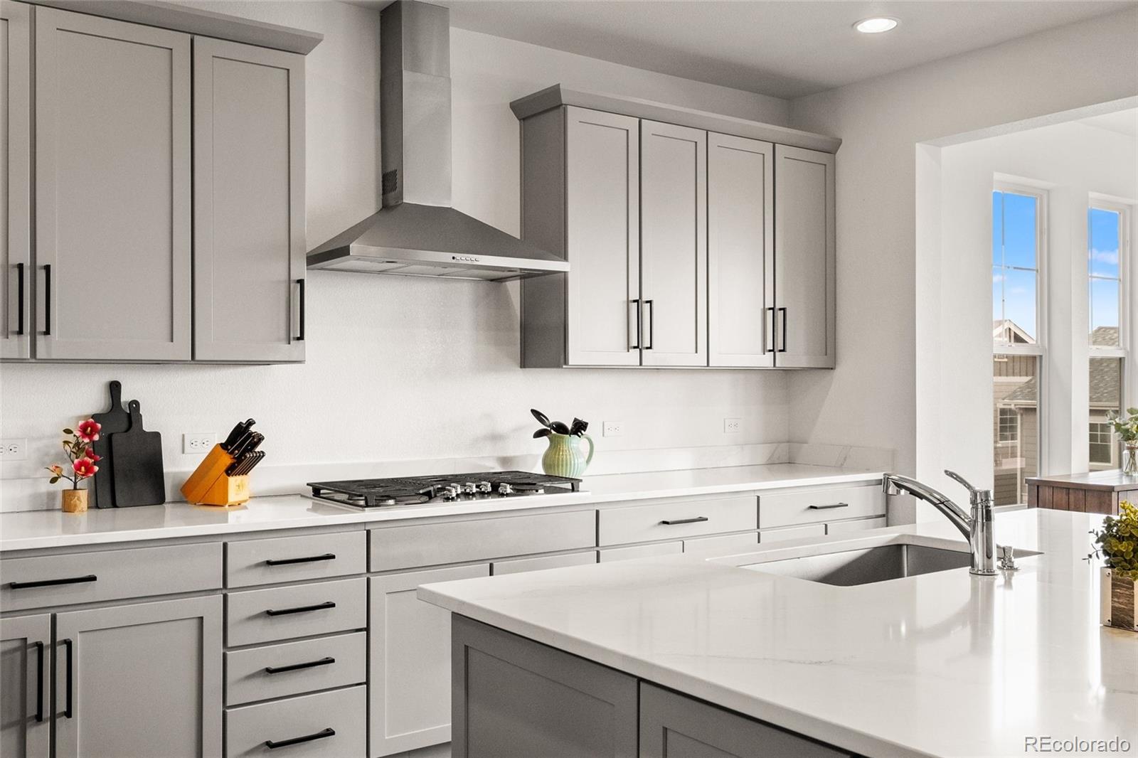 MLS Image #13 for 3922  white rose street,castle rock, Colorado