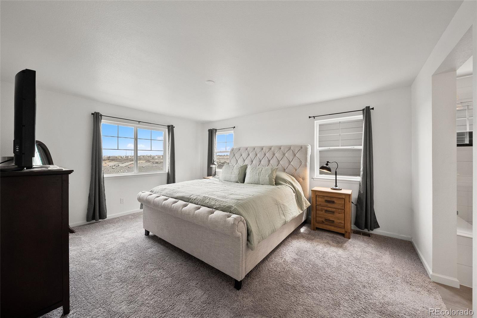 MLS Image #21 for 3922  white rose street,castle rock, Colorado