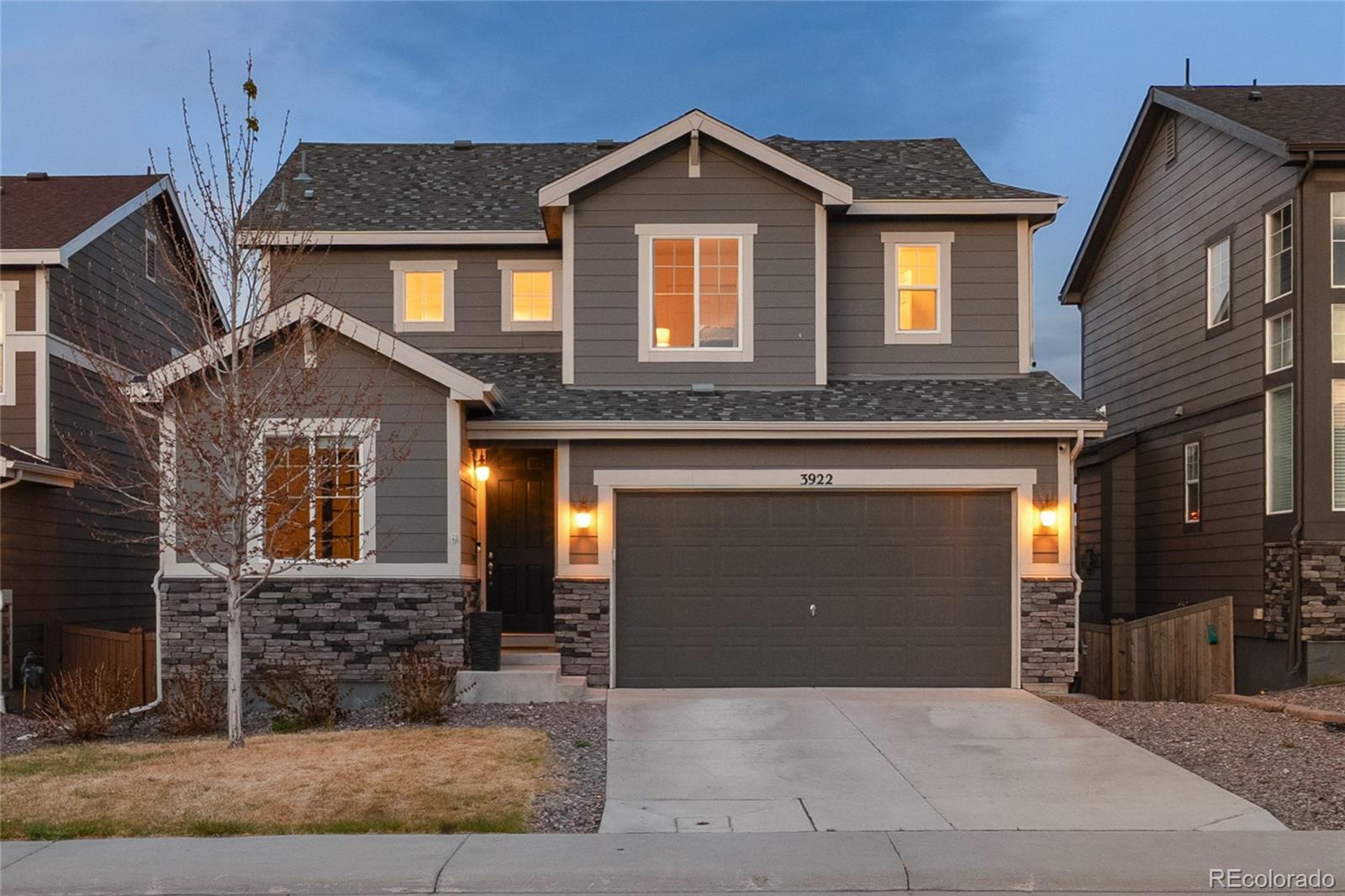 MLS Image #46 for 3922  white rose street,castle rock, Colorado