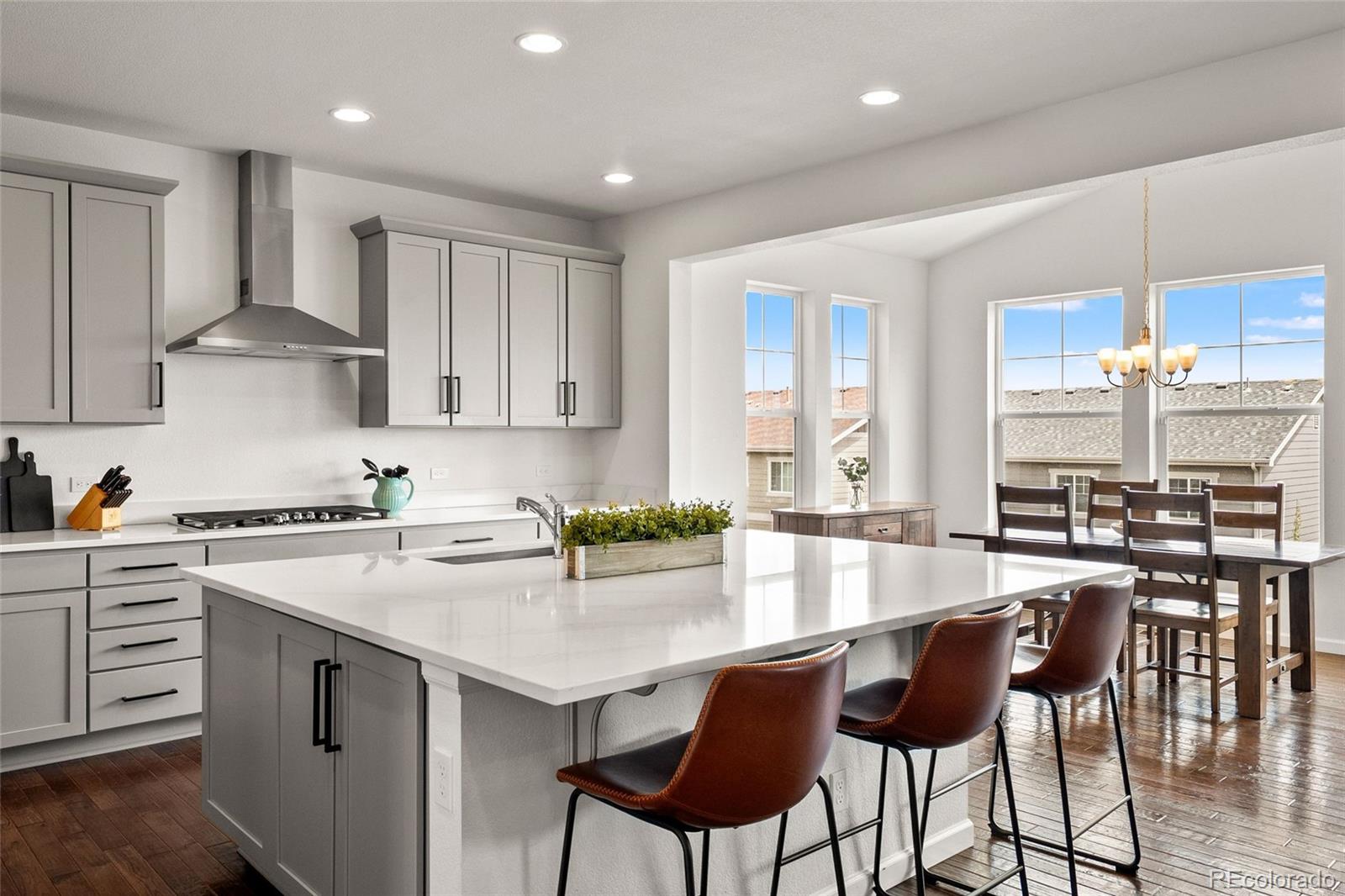 MLS Image #9 for 3922  white rose street,castle rock, Colorado