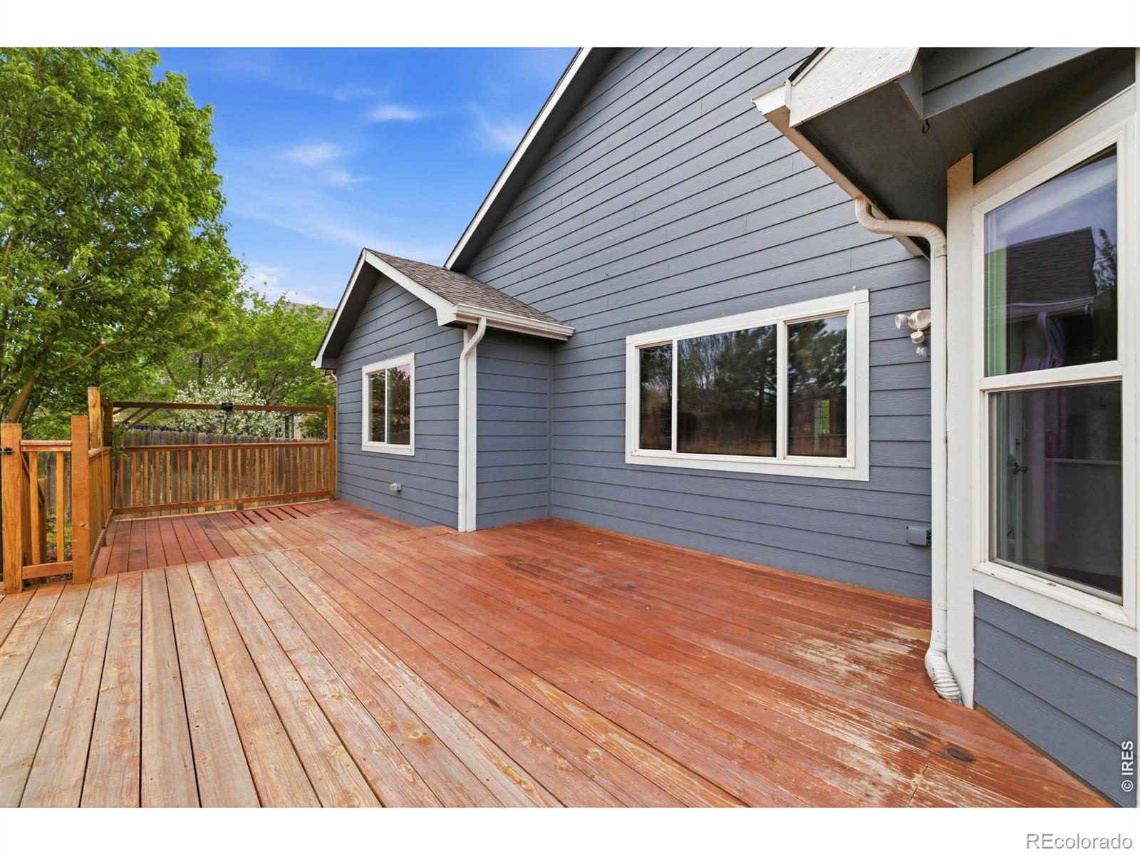 MLS Image #38 for 1524  ponderosa drive,severance, Colorado