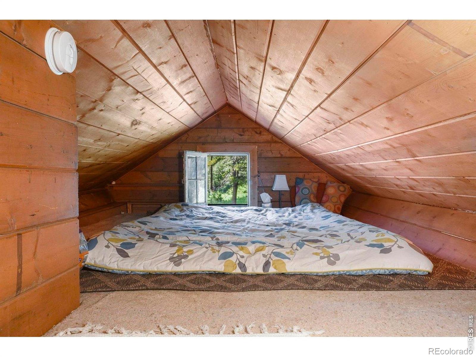 MLS Image #10 for 1410  caribou road,nederland, Colorado