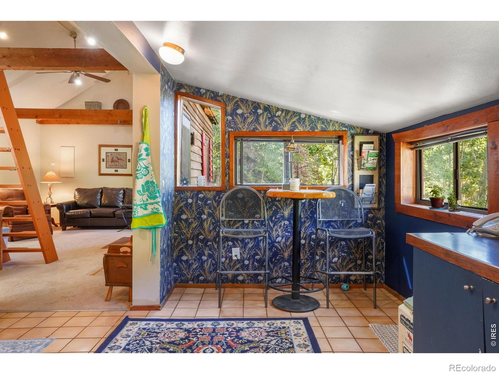 MLS Image #3 for 1410  caribou road,nederland, Colorado