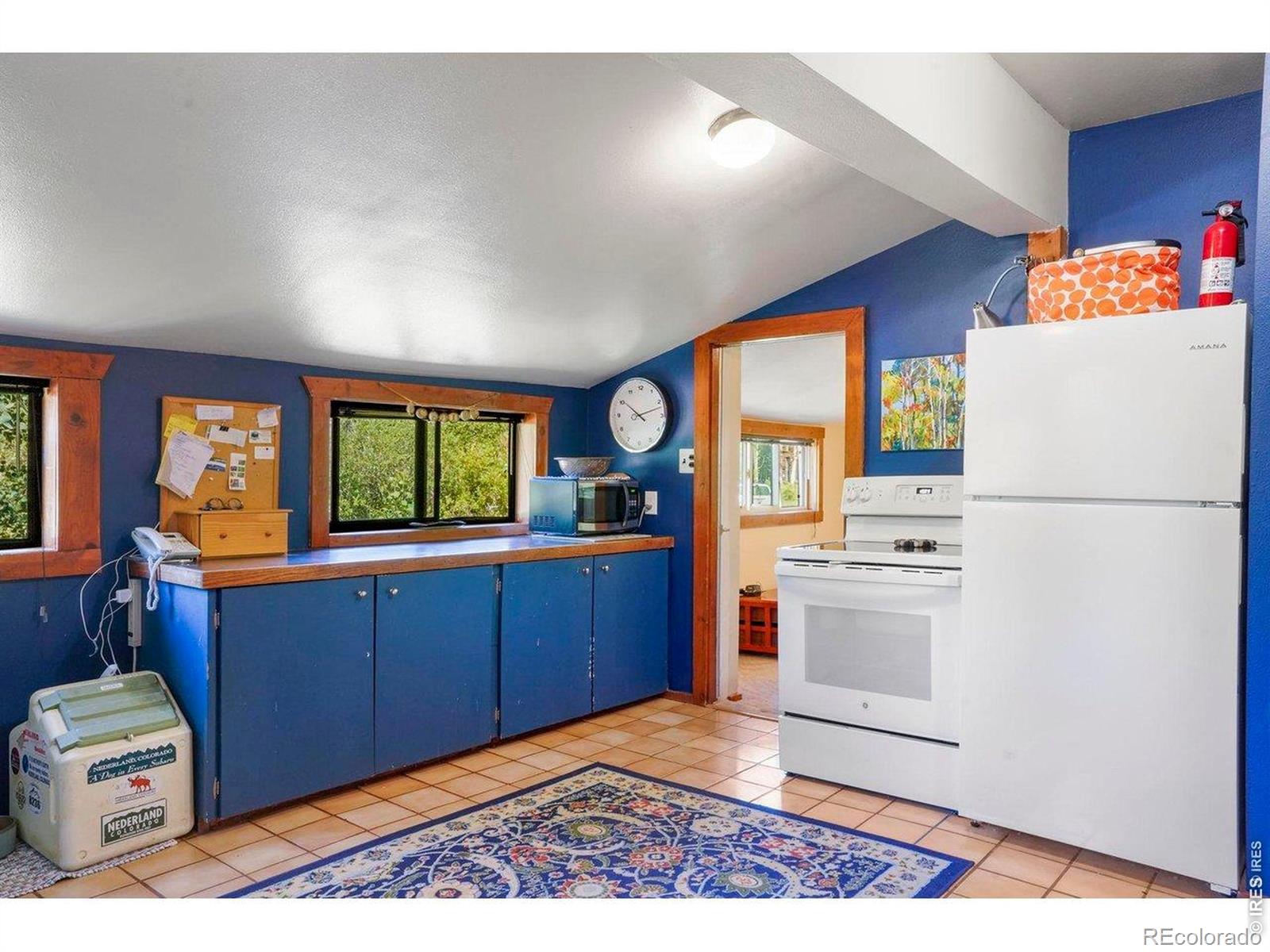 MLS Image #4 for 1410  caribou road,nederland, Colorado