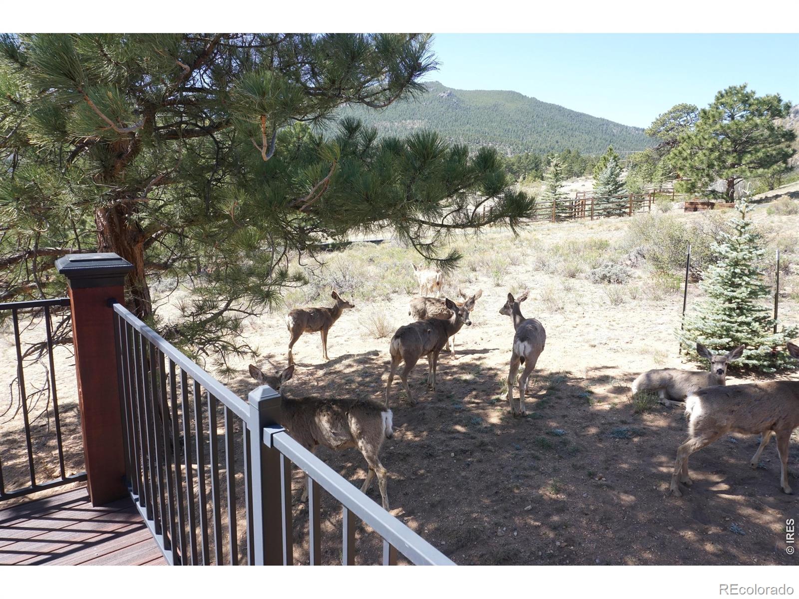 MLS Image #35 for 285  indian trail,estes park, Colorado