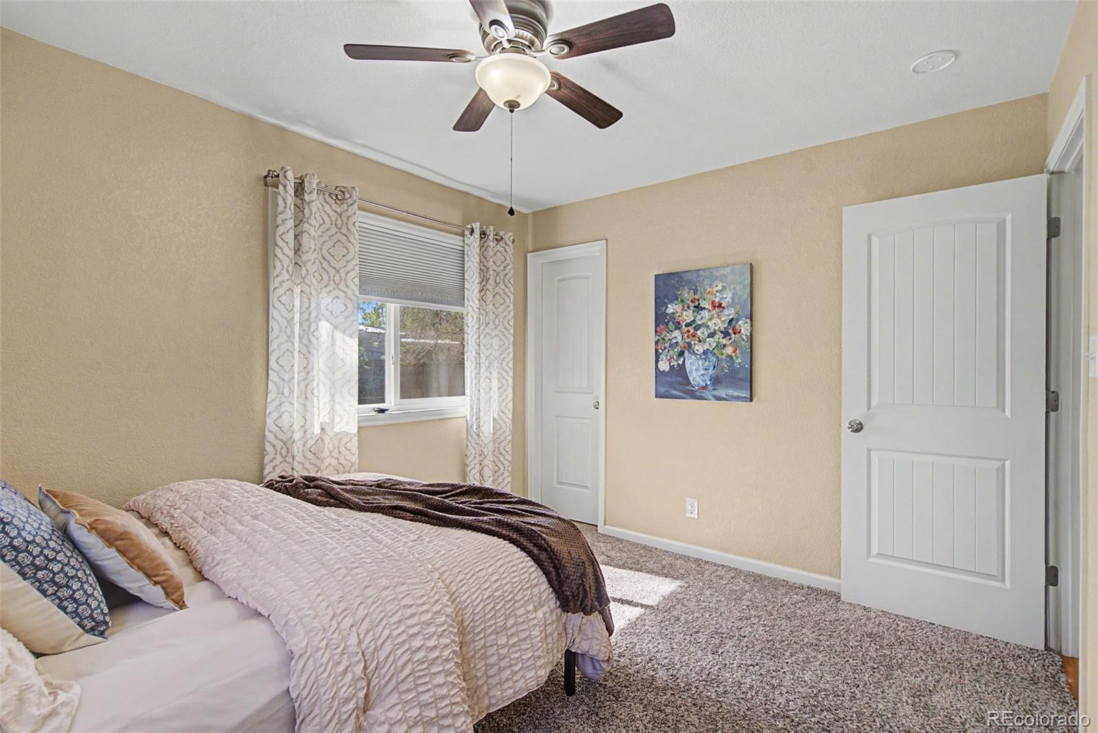 MLS Image #20 for 119  bradley street,colorado springs, Colorado