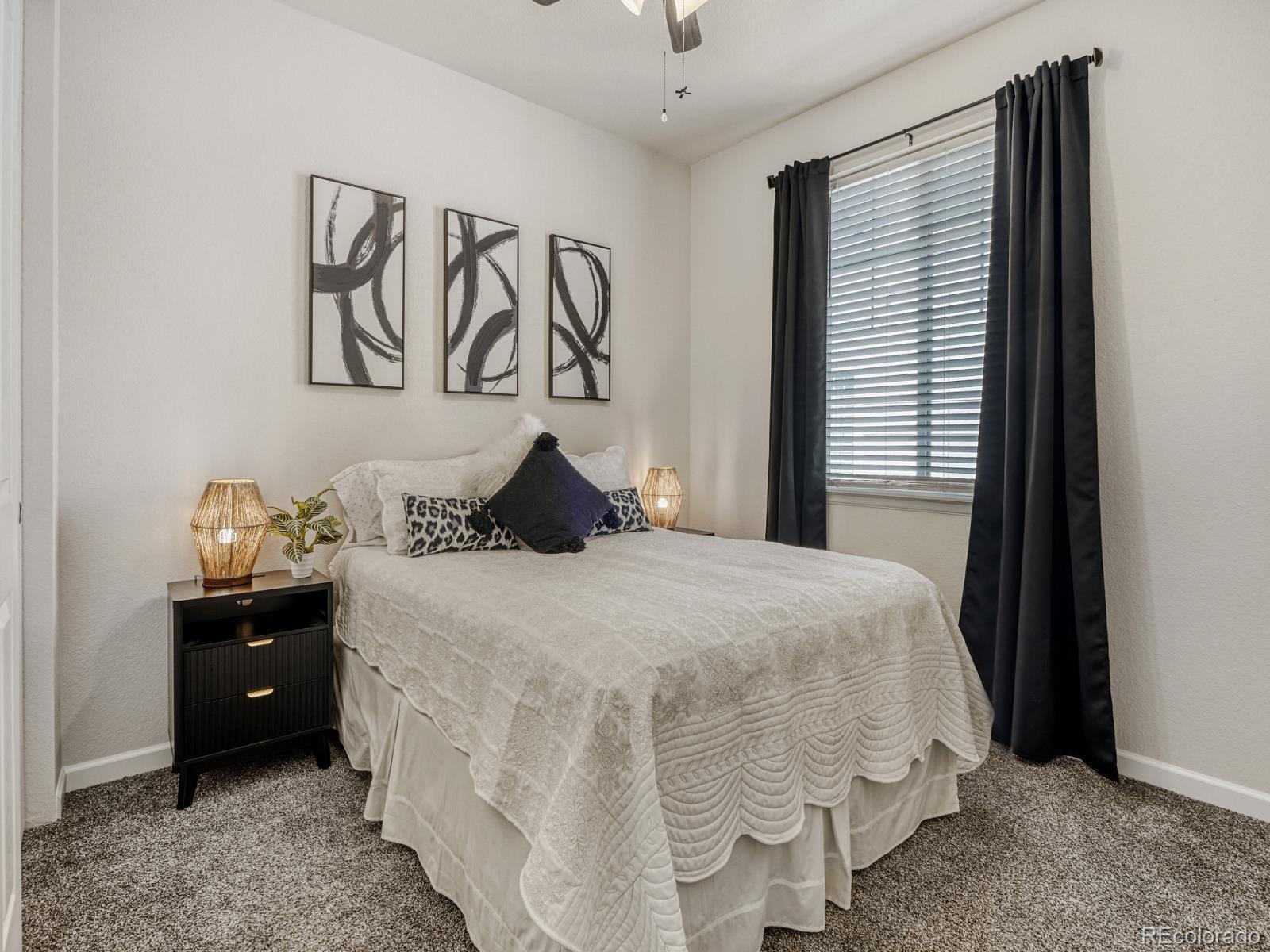 MLS Image #12 for 22692 e narrowleaf circle,aurora, Colorado