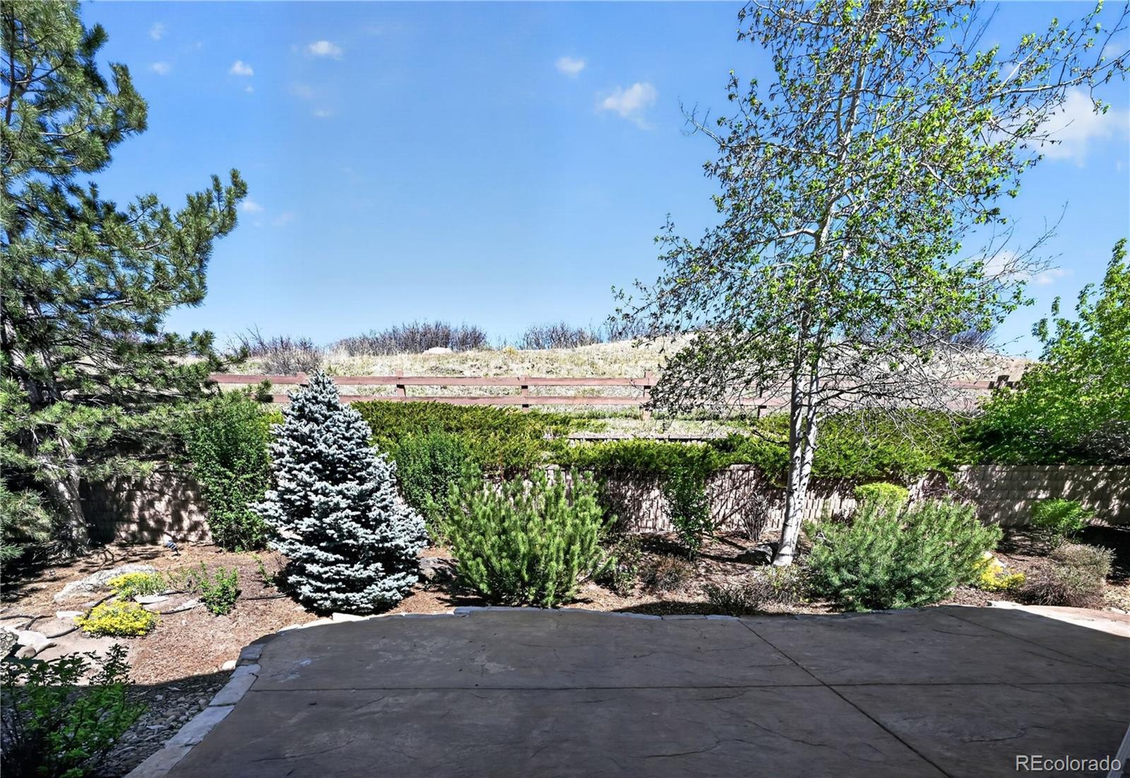 MLS Image #2 for 6873  esperanza drive,castle pines, Colorado