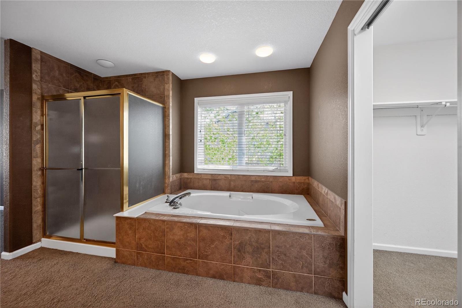 MLS Image #30 for 6873  esperanza drive,castle pines, Colorado