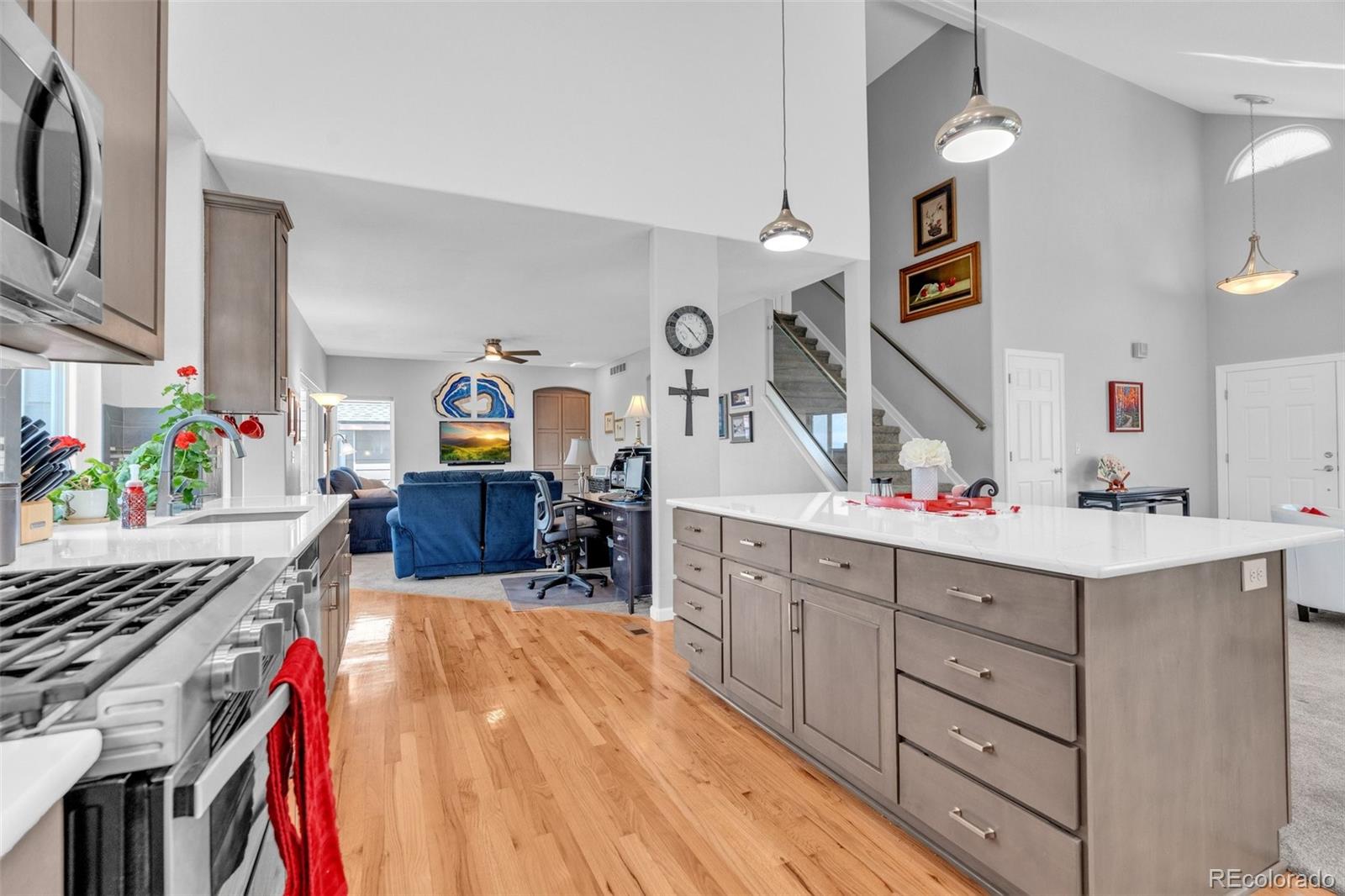 MLS Image #11 for 9033  edgewood street,highlands ranch, Colorado