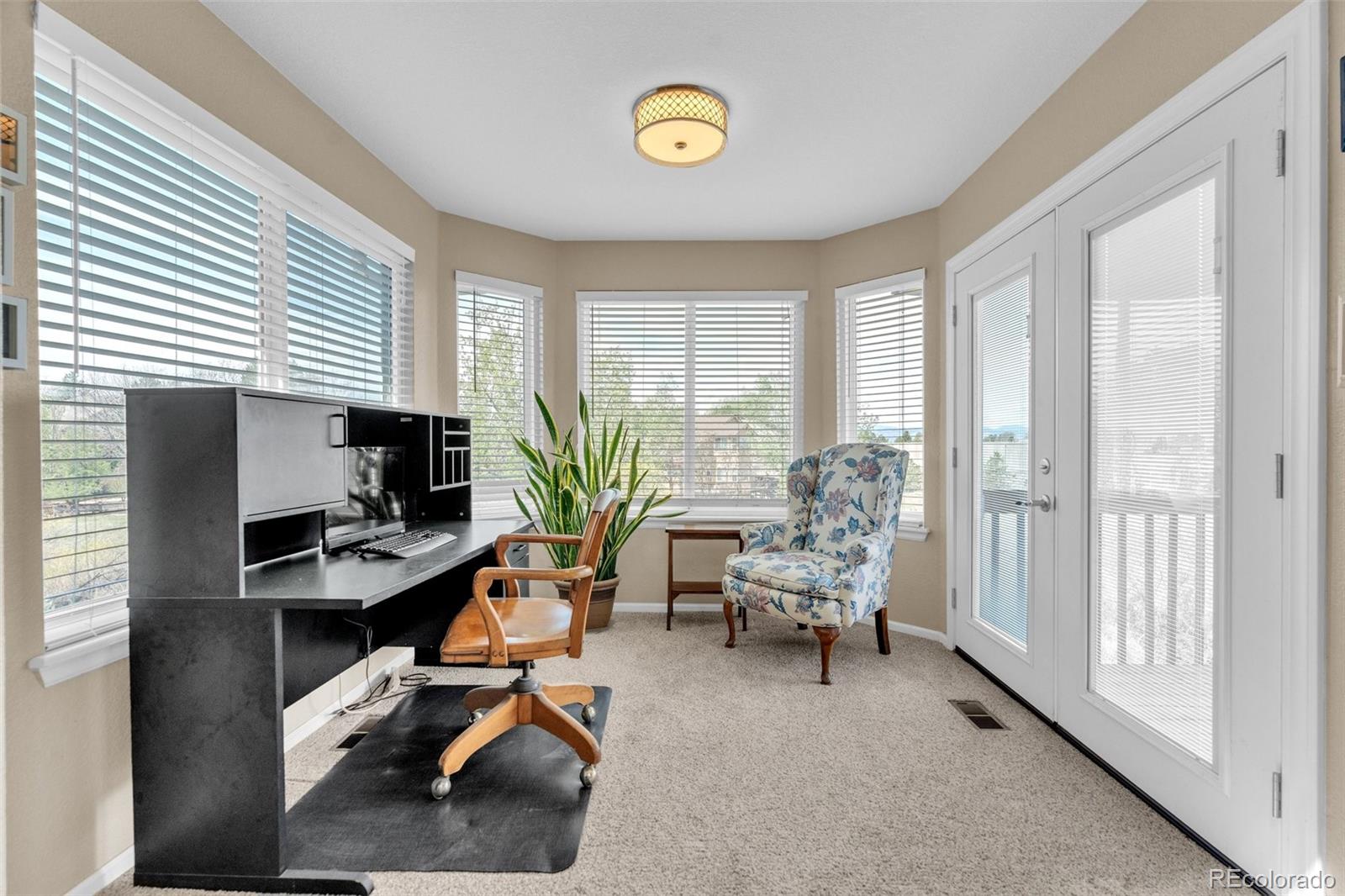 MLS Image #19 for 9033  edgewood street,highlands ranch, Colorado