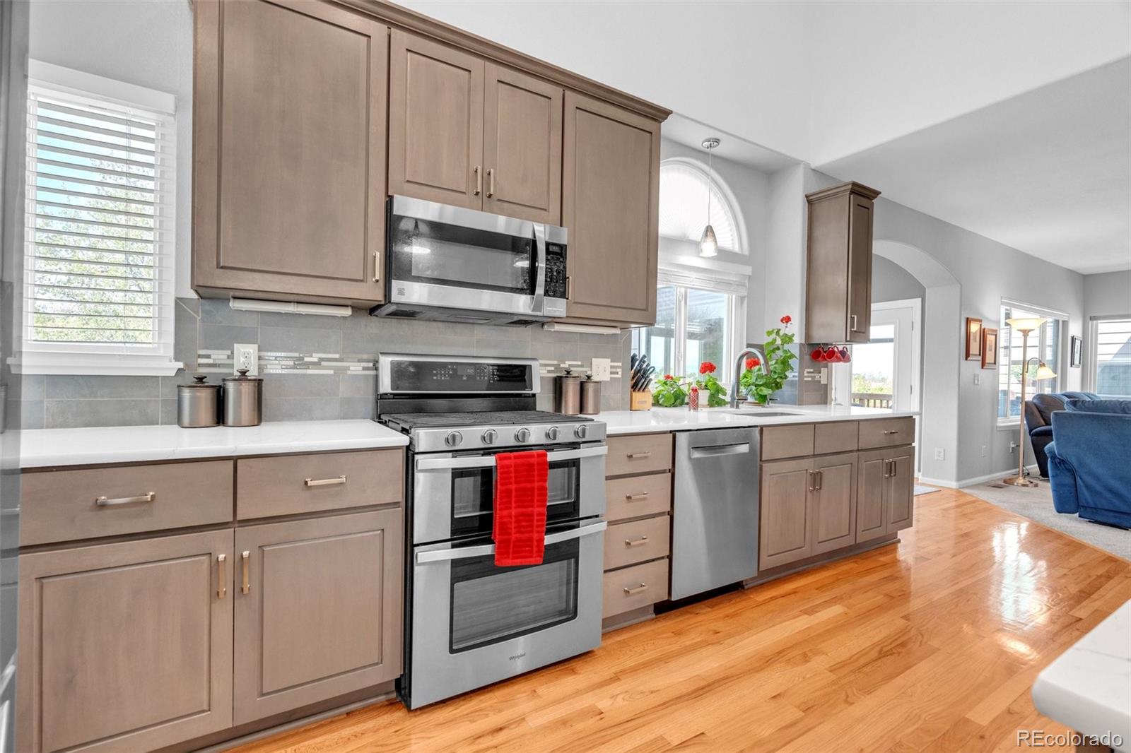 MLS Image #9 for 9033  edgewood street,highlands ranch, Colorado