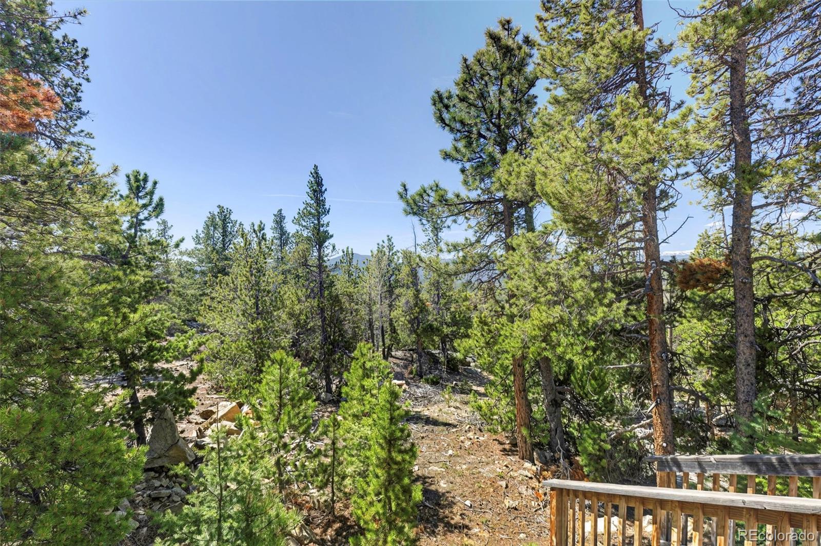 MLS Image #30 for 34028  lyttle dowdle drive,golden, Colorado